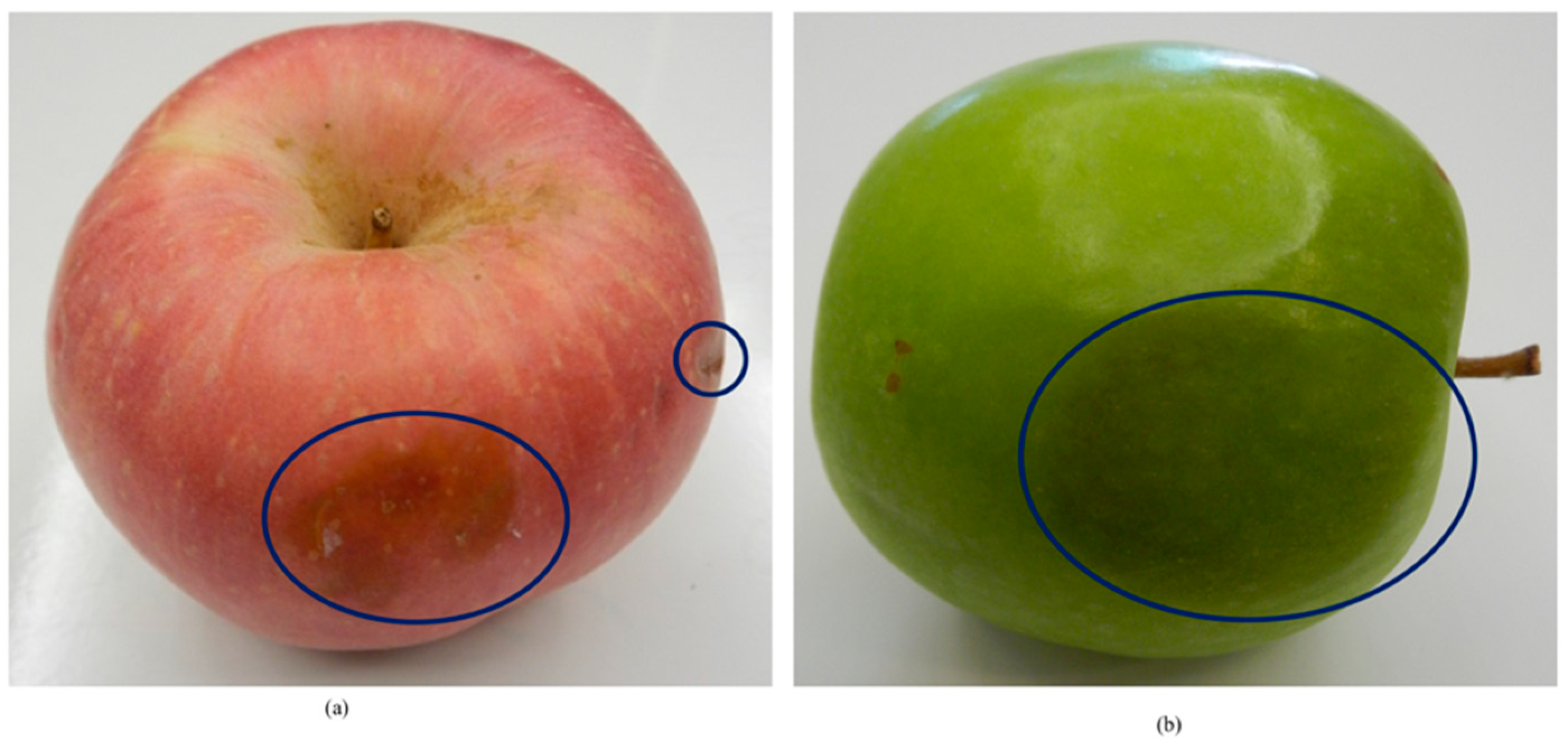 Sensors 18 04353 g003