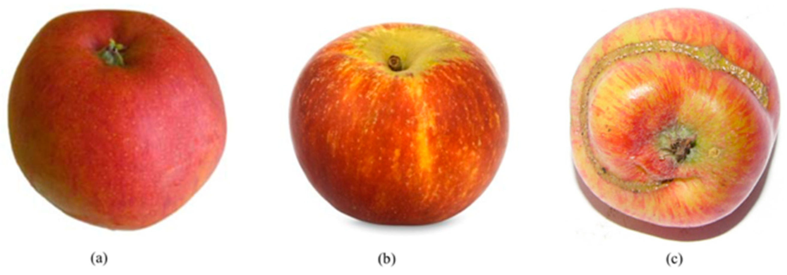 Sensors 18 04353 g005