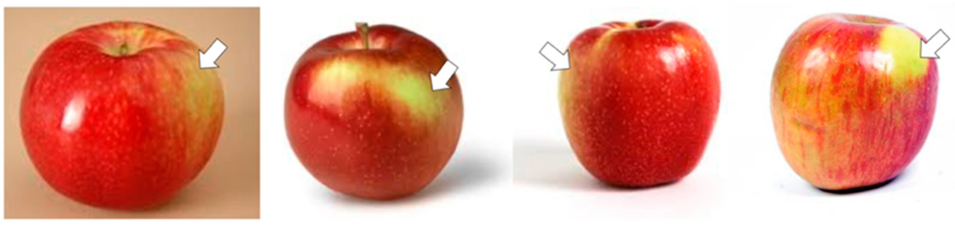 Sensors 18 04353 g006