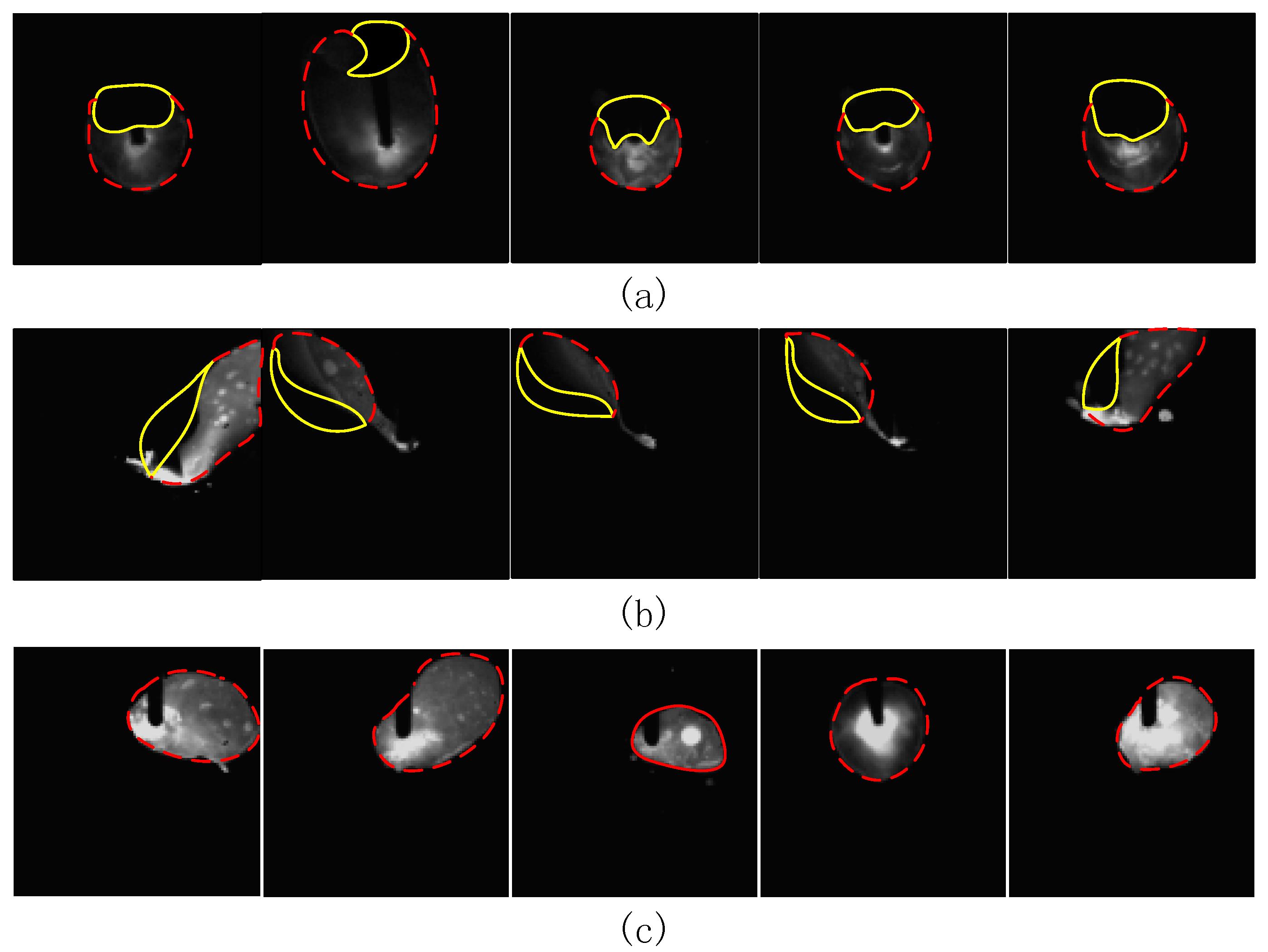 Sensors 18 04369 g005