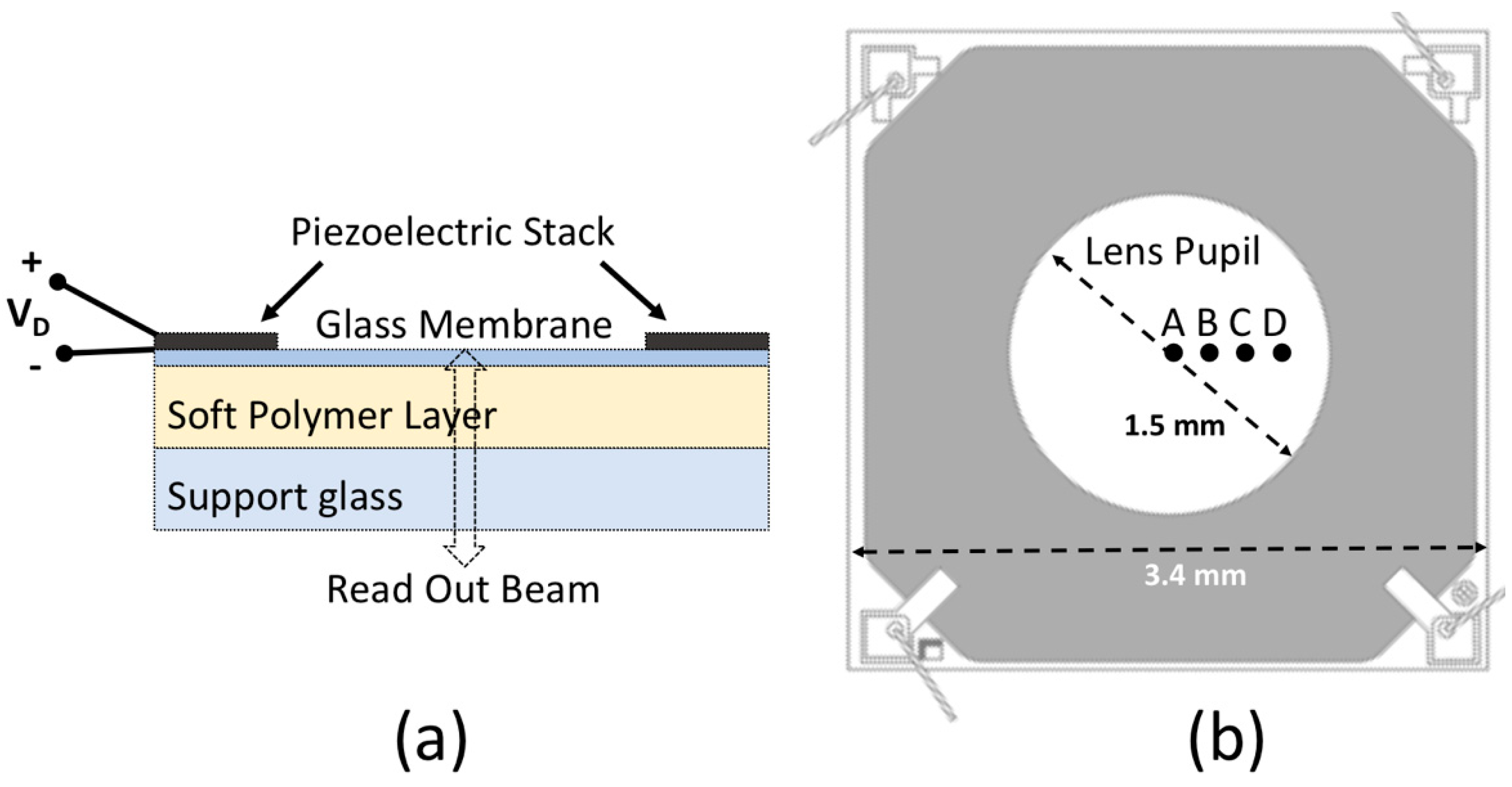 Sensors 18 04396 g001