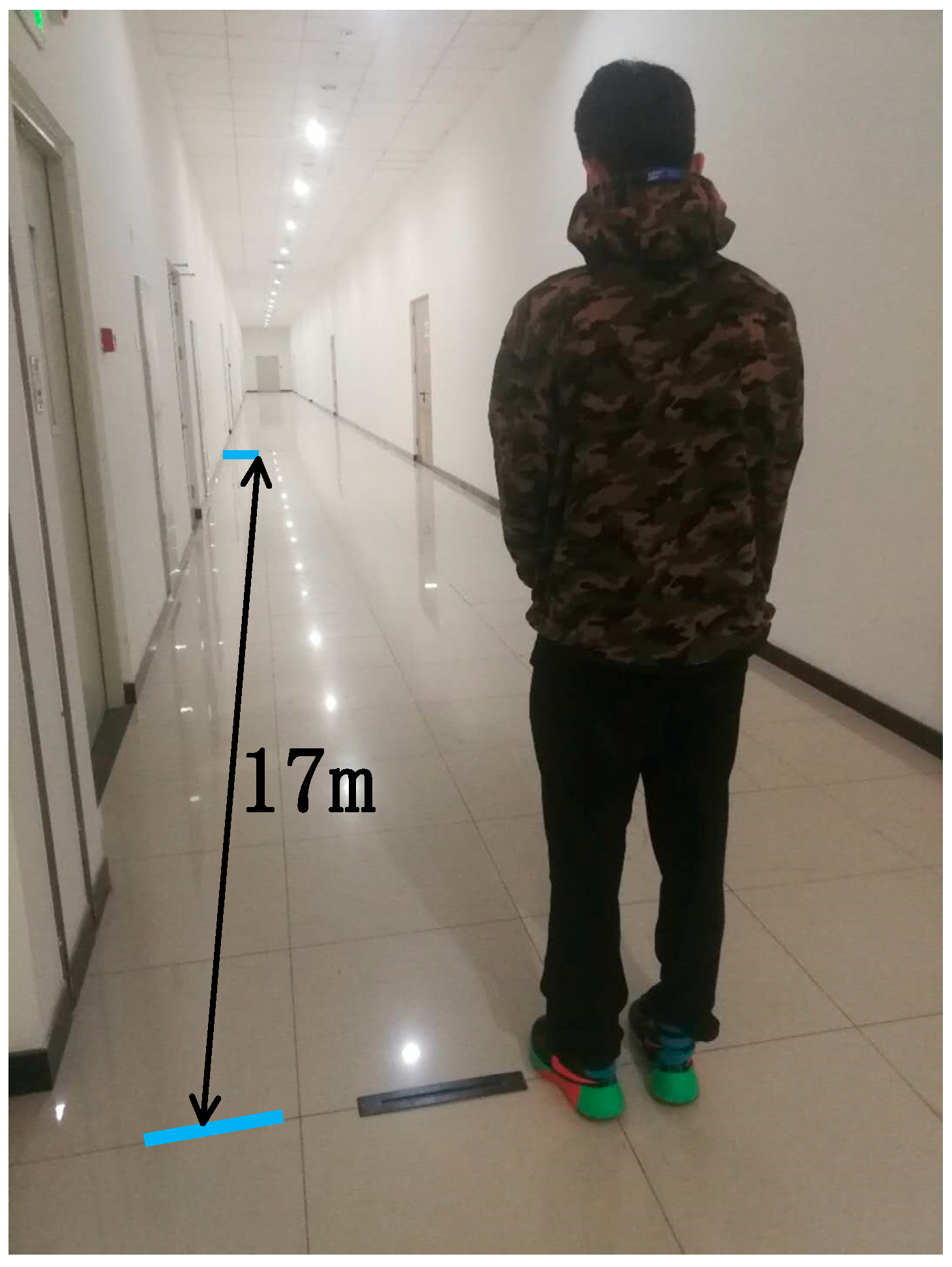 Sensors 18 04447 g007