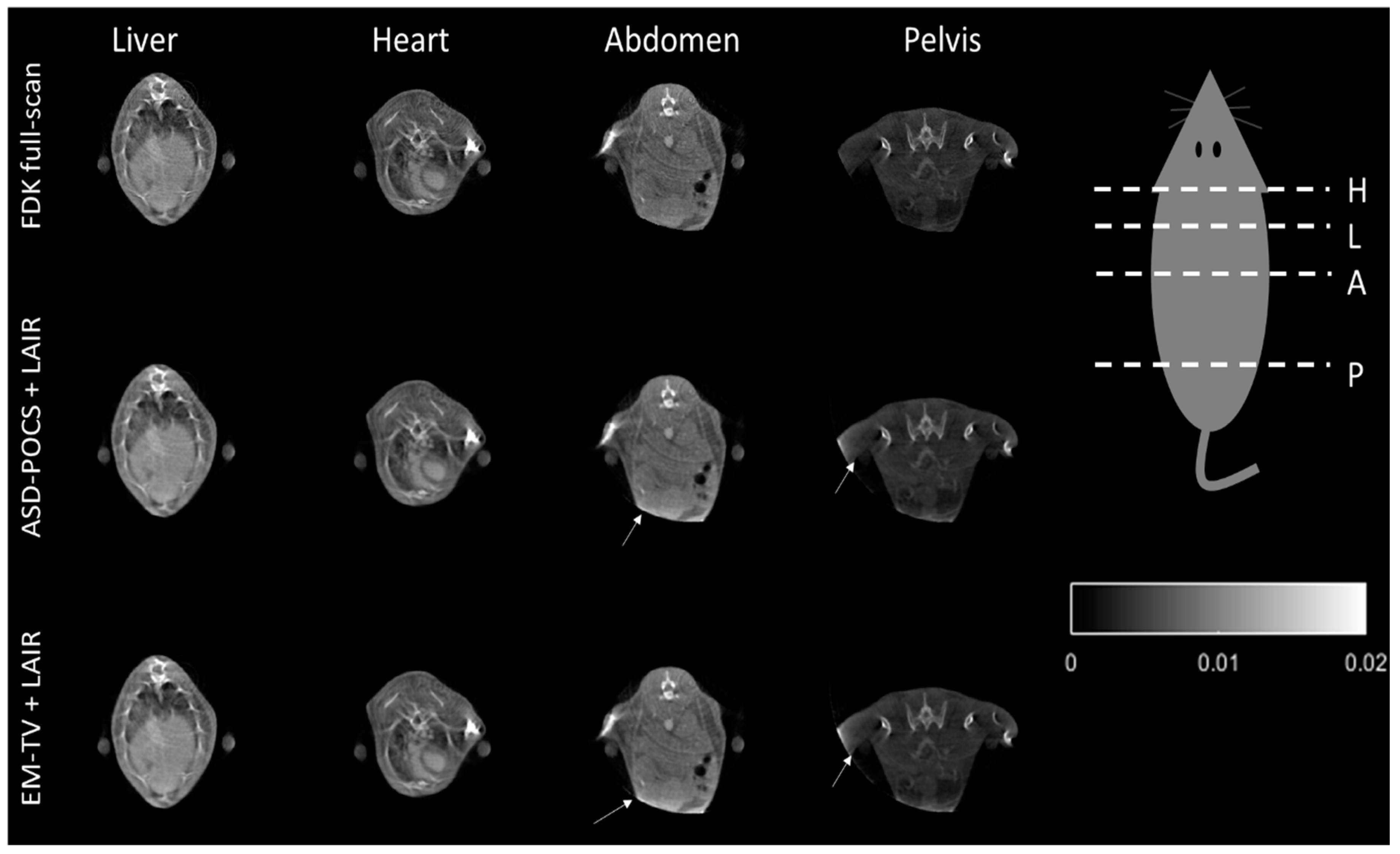 Sensors 18 04458 g009 Sensors 18 04458 g009