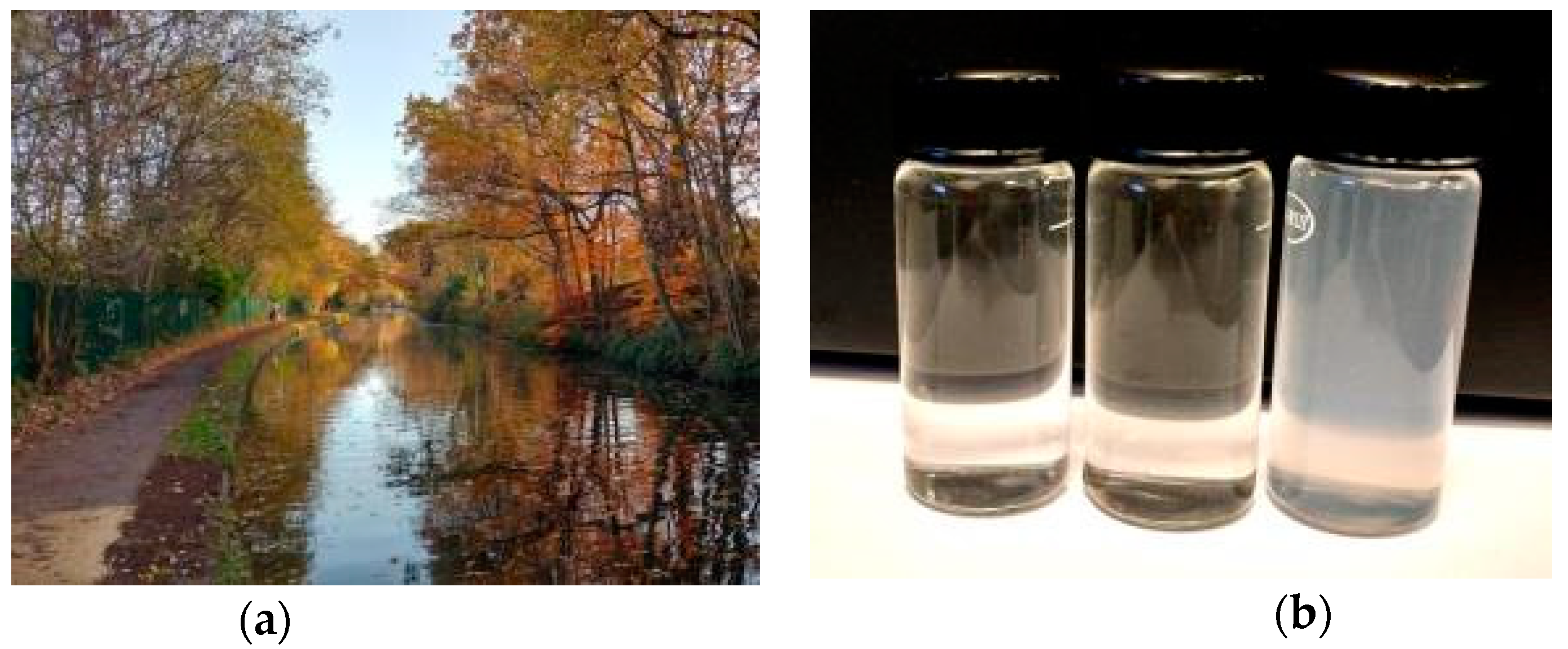 Sensors 18 04476 g008 550