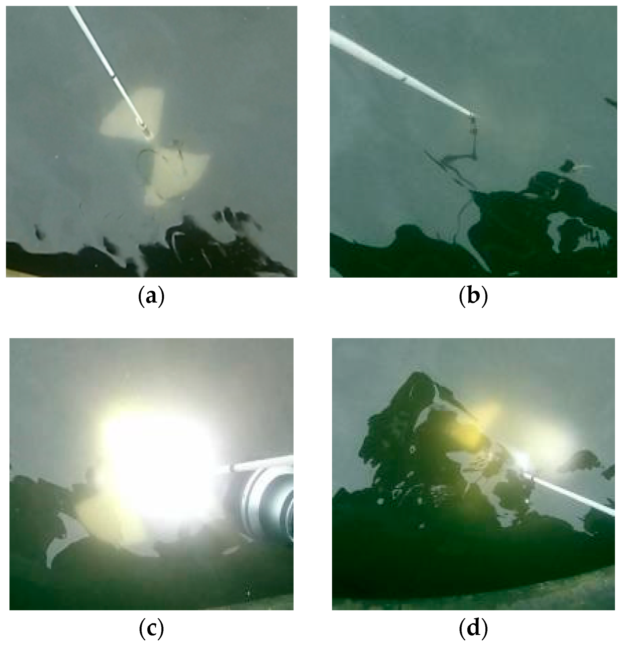 Sensors 18 04476 g009 550