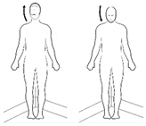 Sensors 18 04501 i005