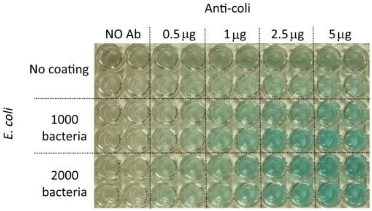 Sensors 19 00033 g017