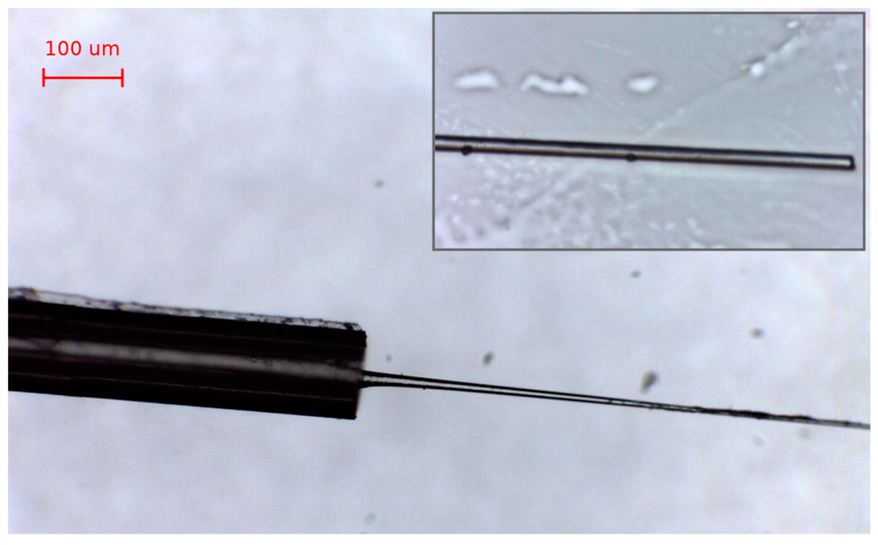 Sensors 19 00039 g005