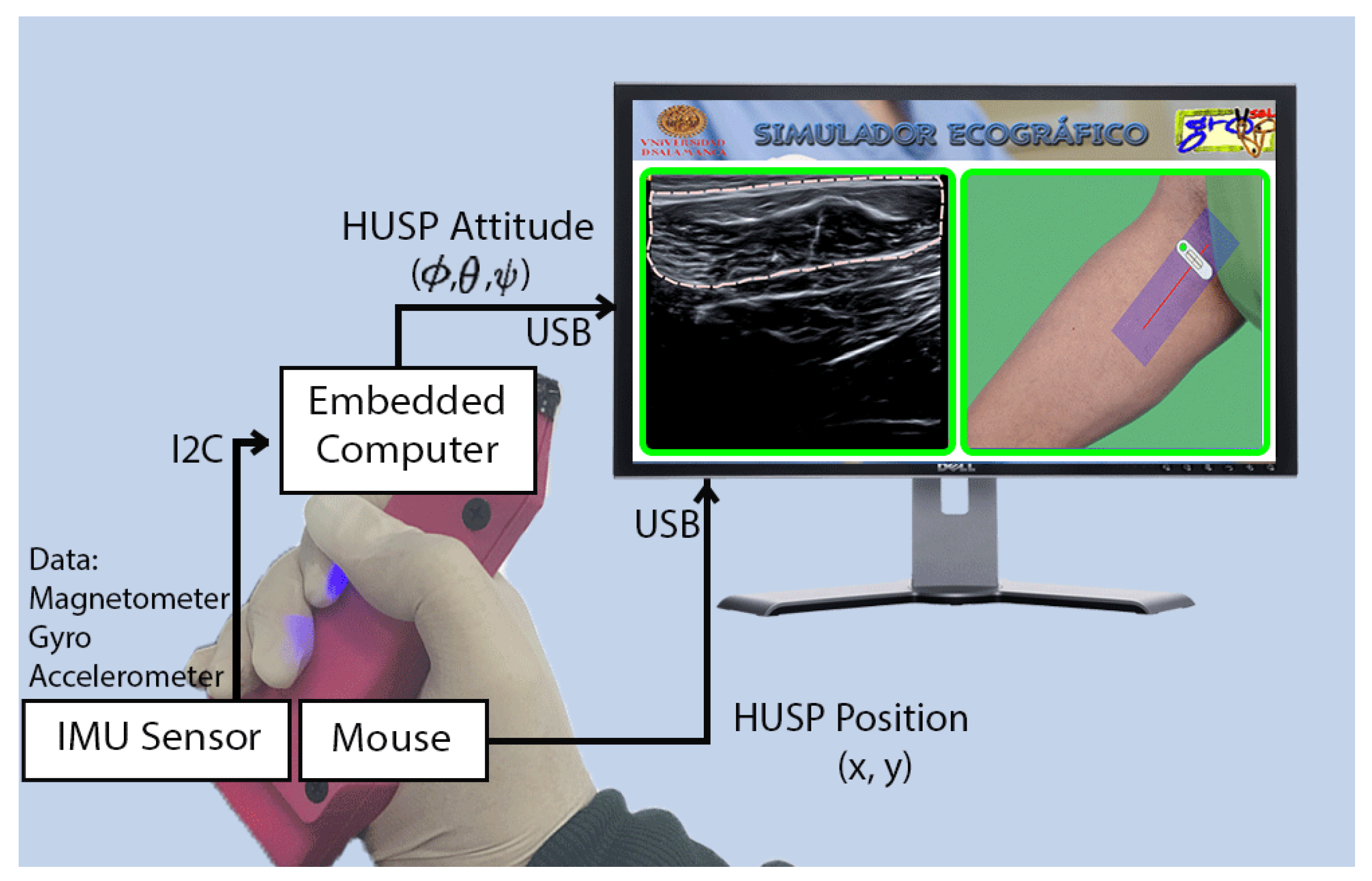 Sensors 19 00101 g008
