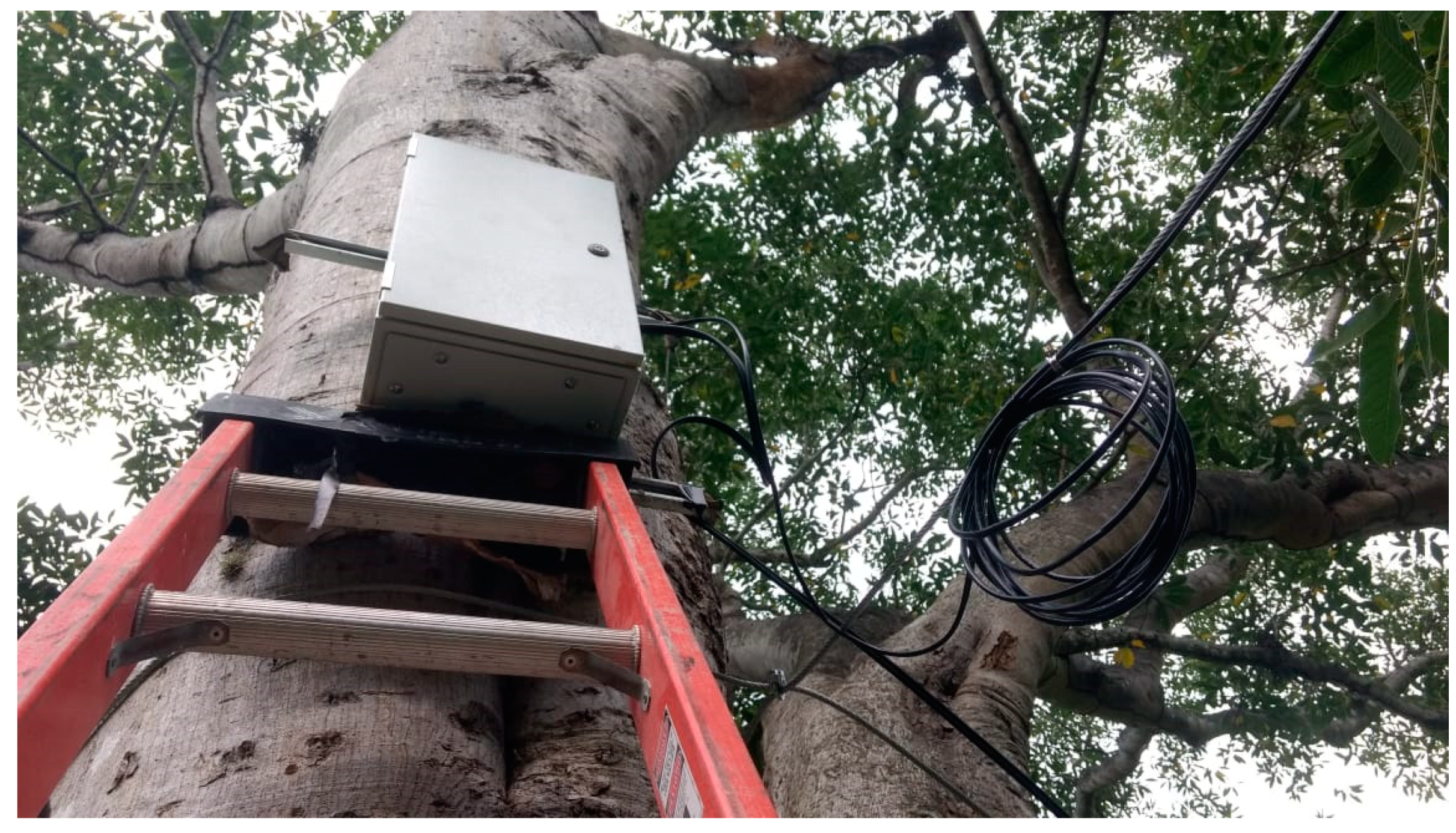 Sensors 19 00127 g017