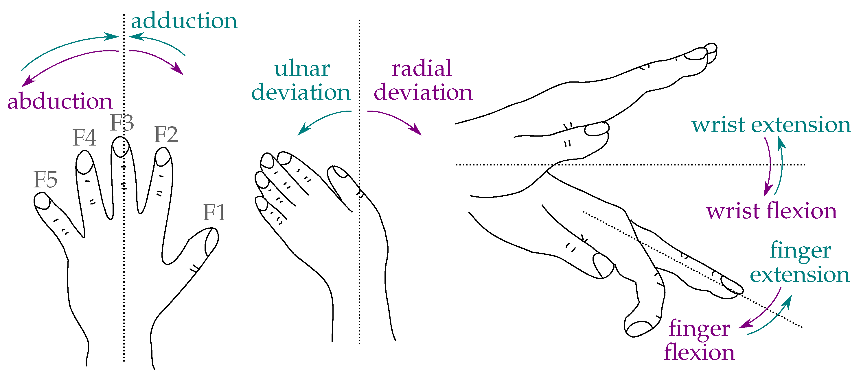 Radial перевод