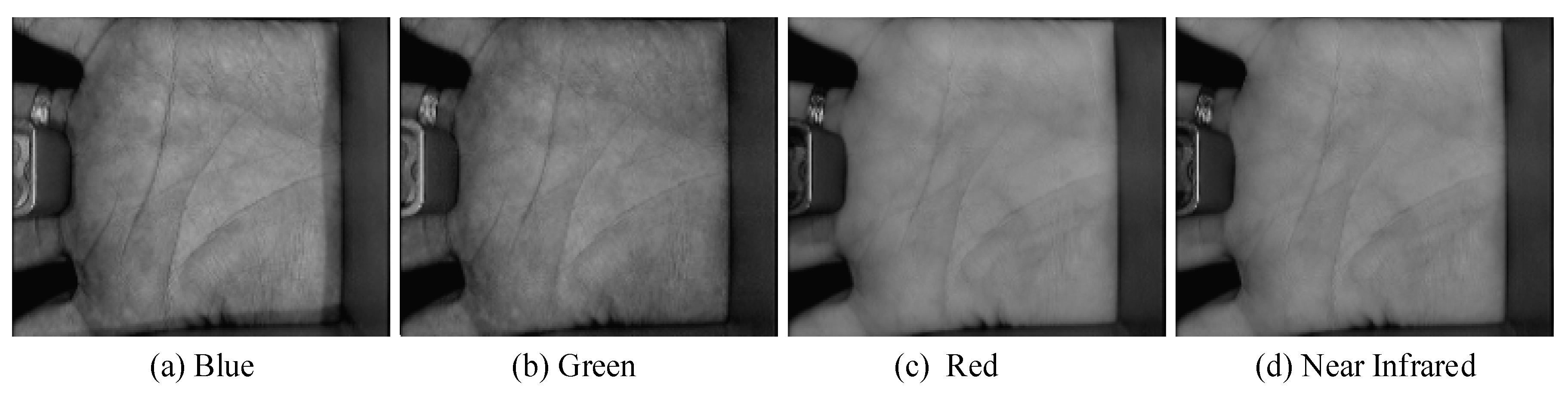 Sensors 19 00235 g002 Sensors 19 00235 g002