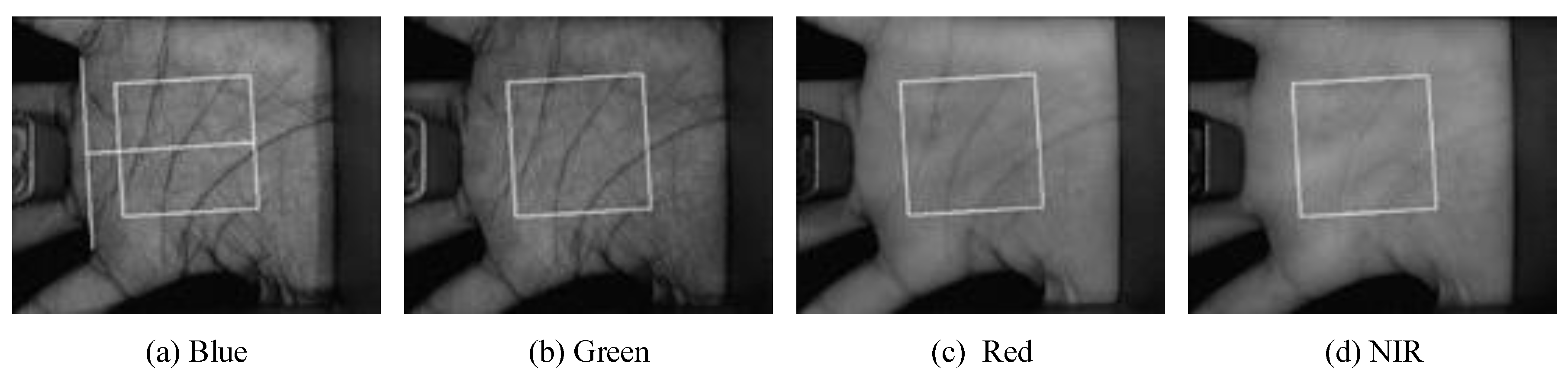 Sensors 19 00235 g004 Sensors 19 00235 g004
