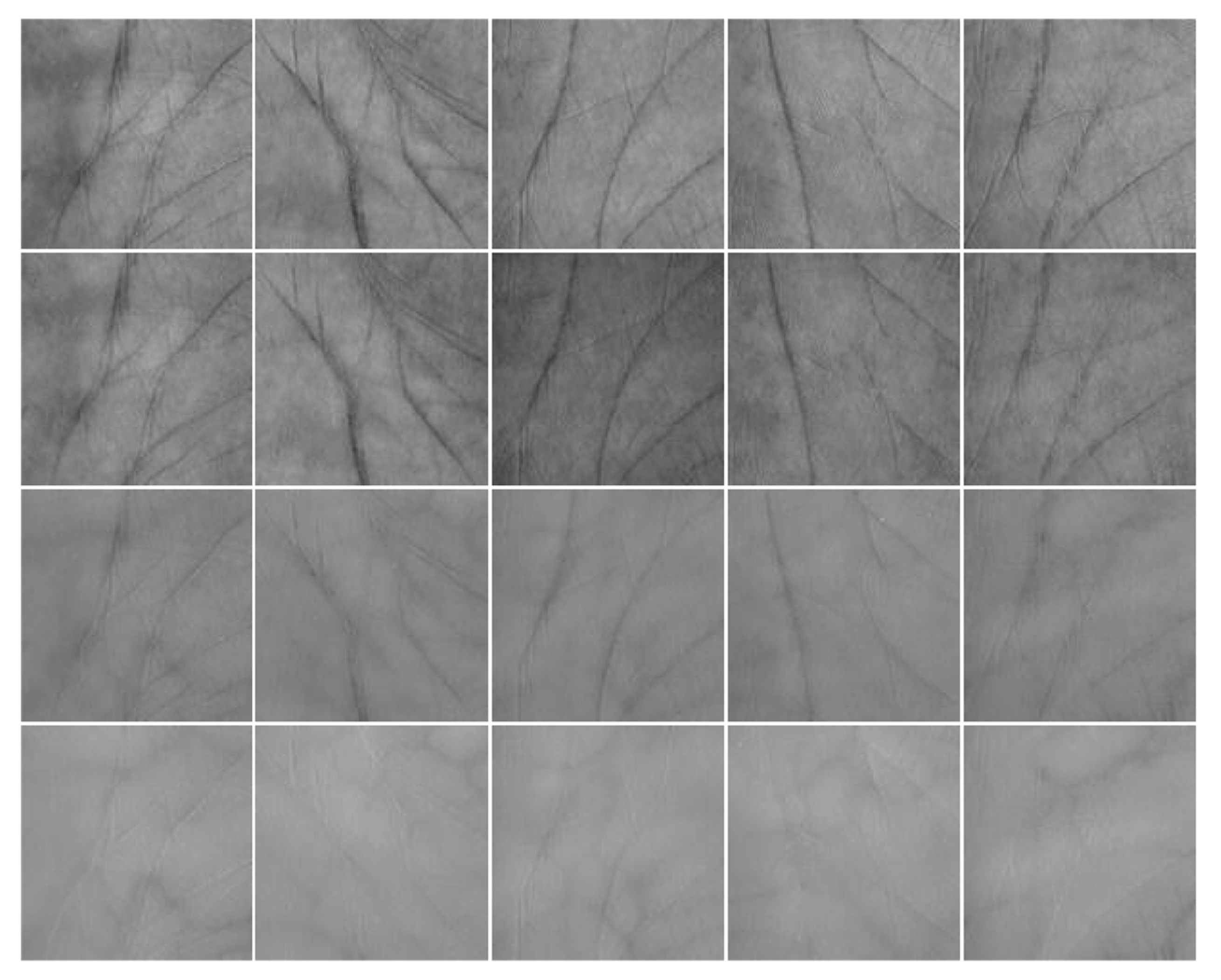 Sensors 19 00235 g005 Sensors 19 00235 g005