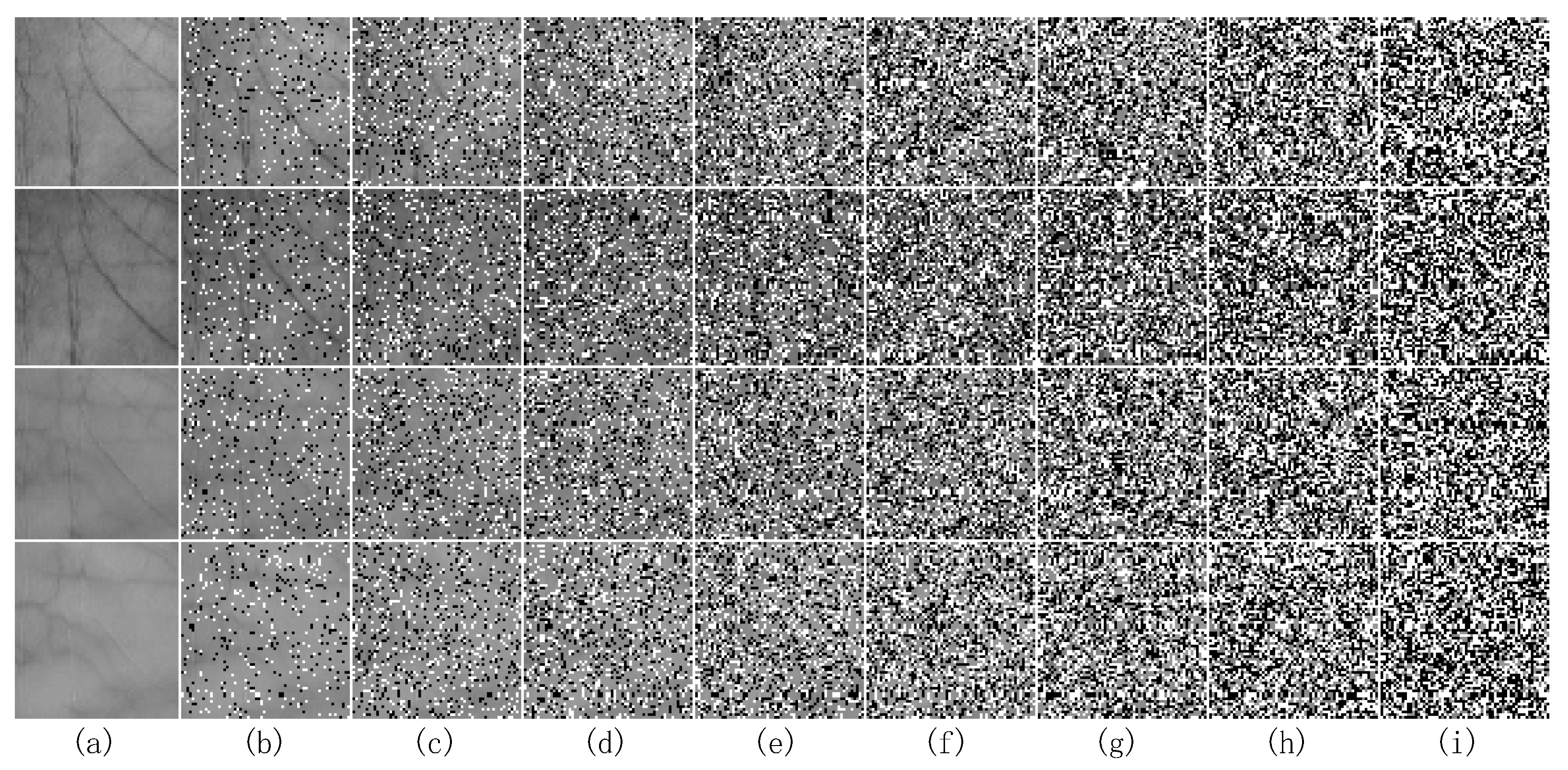 Sensors 19 00235 g011 Sensors 19 00235 g011