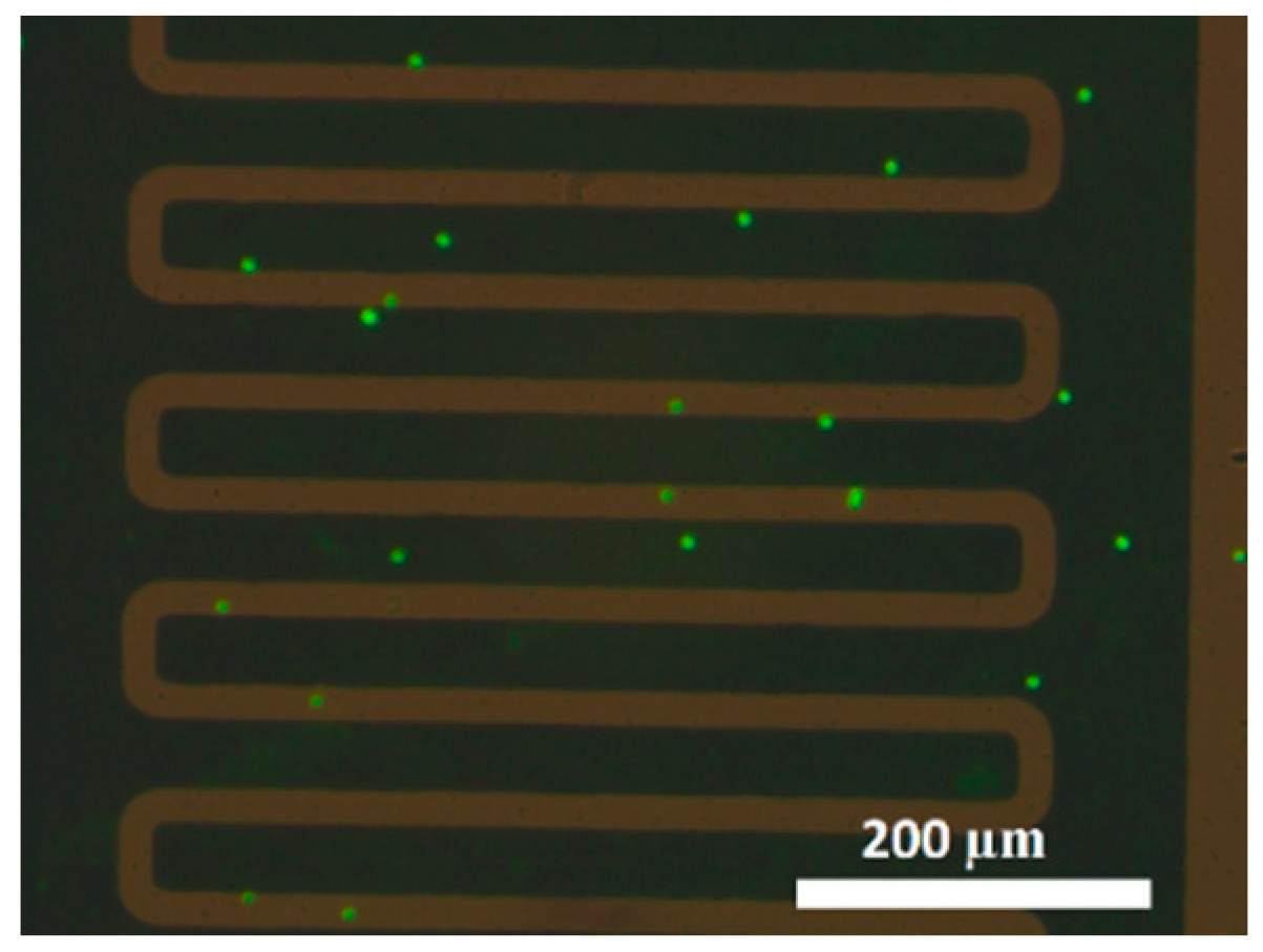 Sensors 19 00258 g006