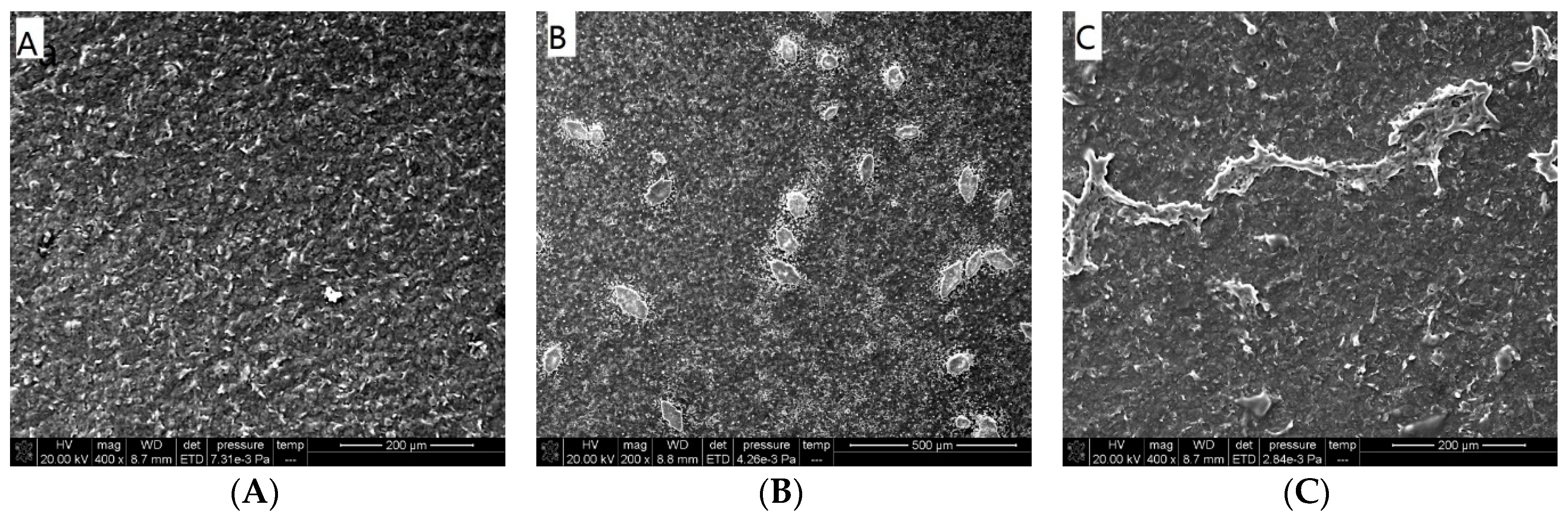 Sensors 19 00268 g002