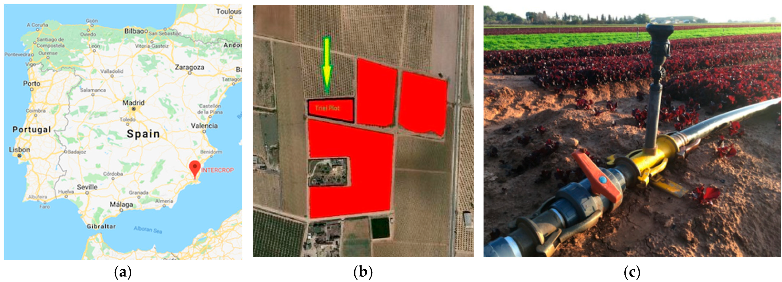 Sensors 19 00276 g004 550