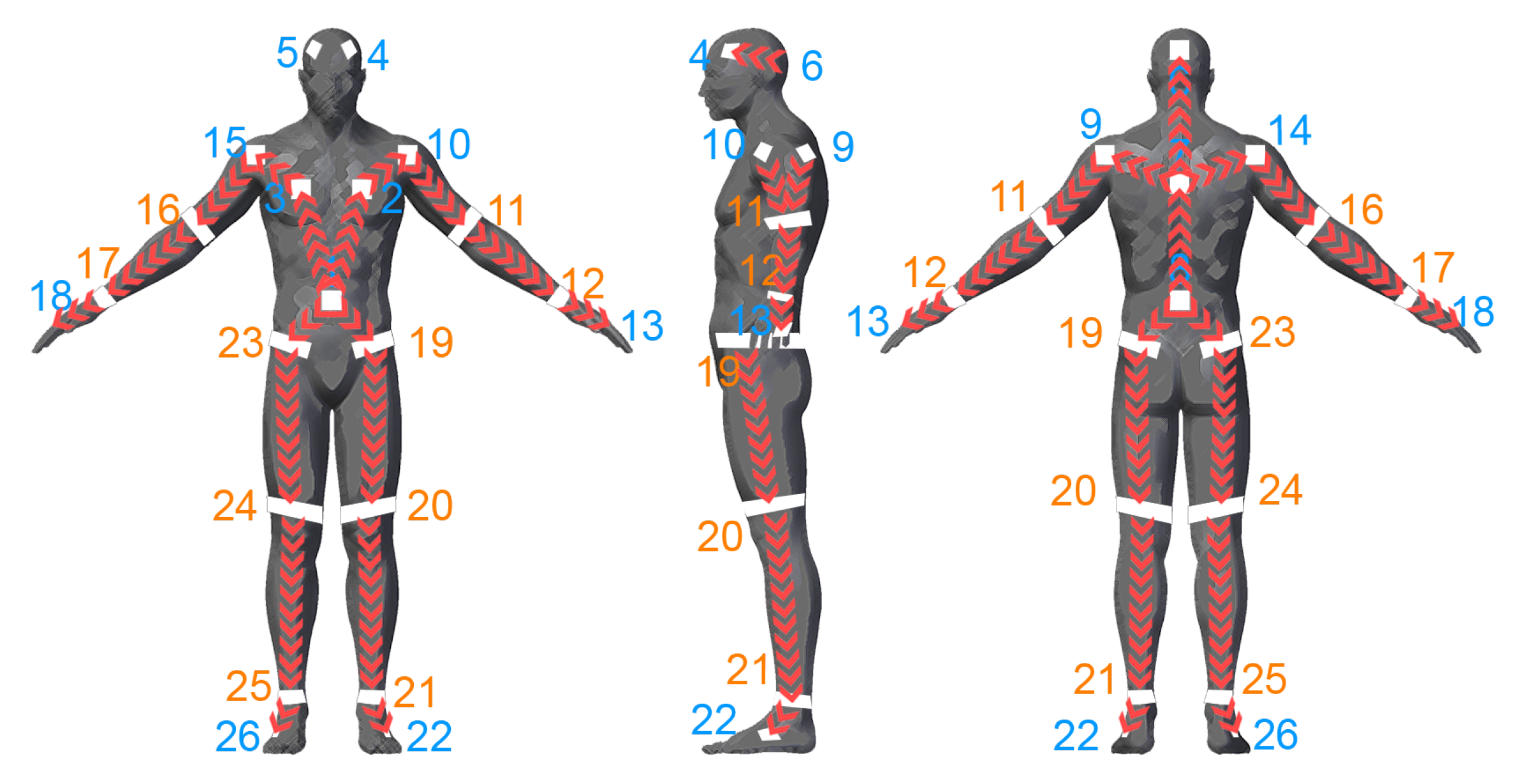 Sensors 19 00282 g011