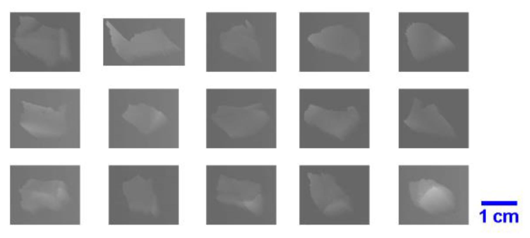 Sensors 19 00284 g004 Sensors 19 00284 g004