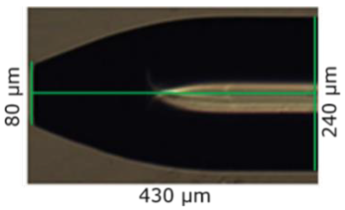 Sensors 19 00285 g002 Sensors 19 00285 g002