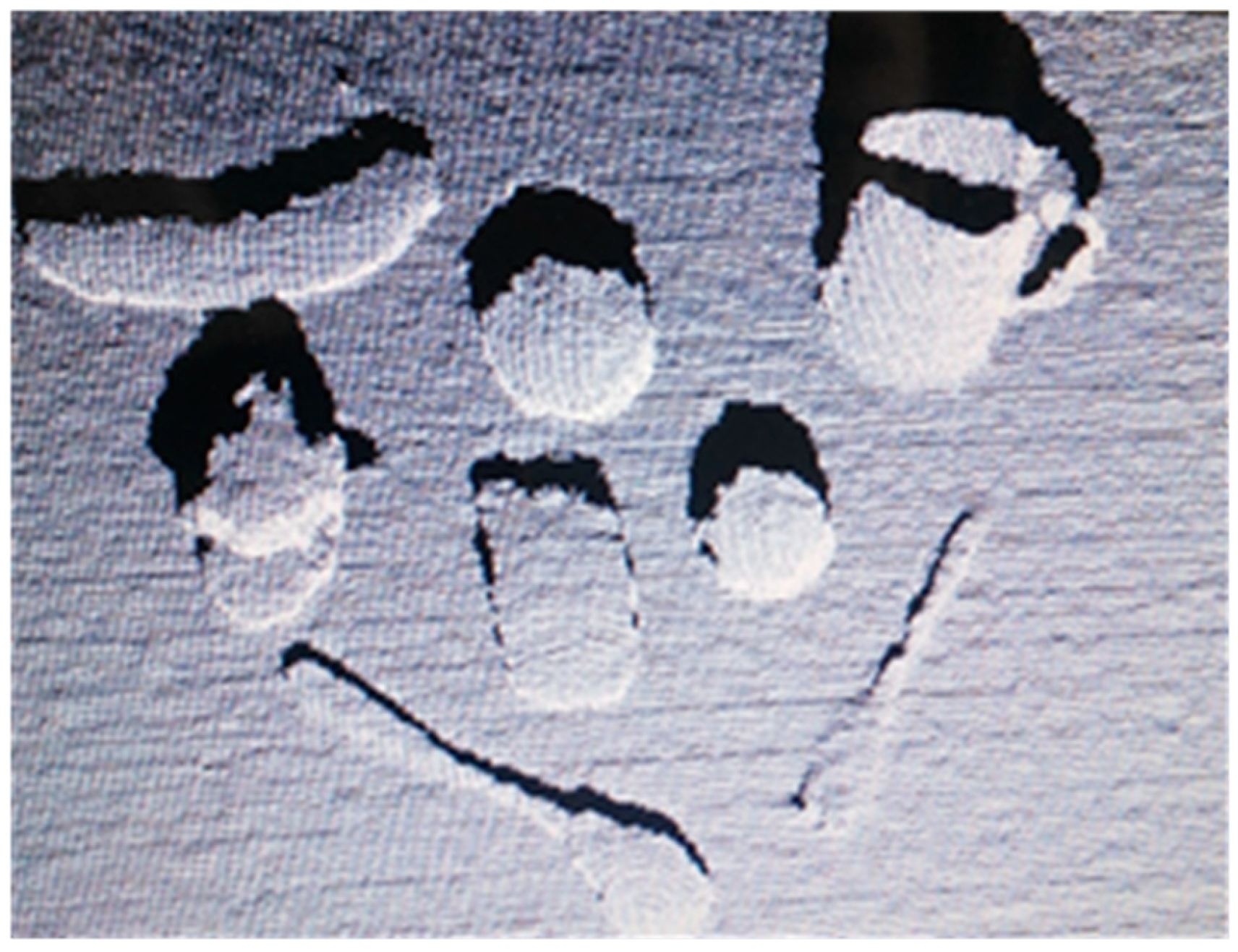 Sensors 19 00303 g006