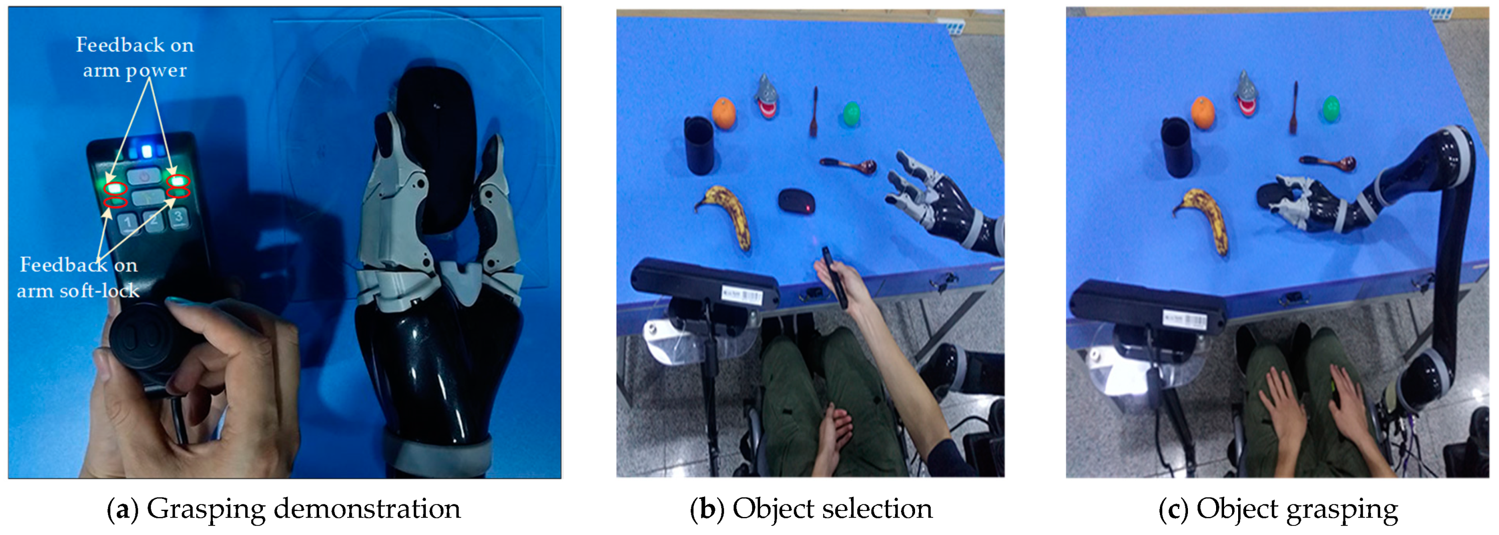 Sensors 19 00303 g015