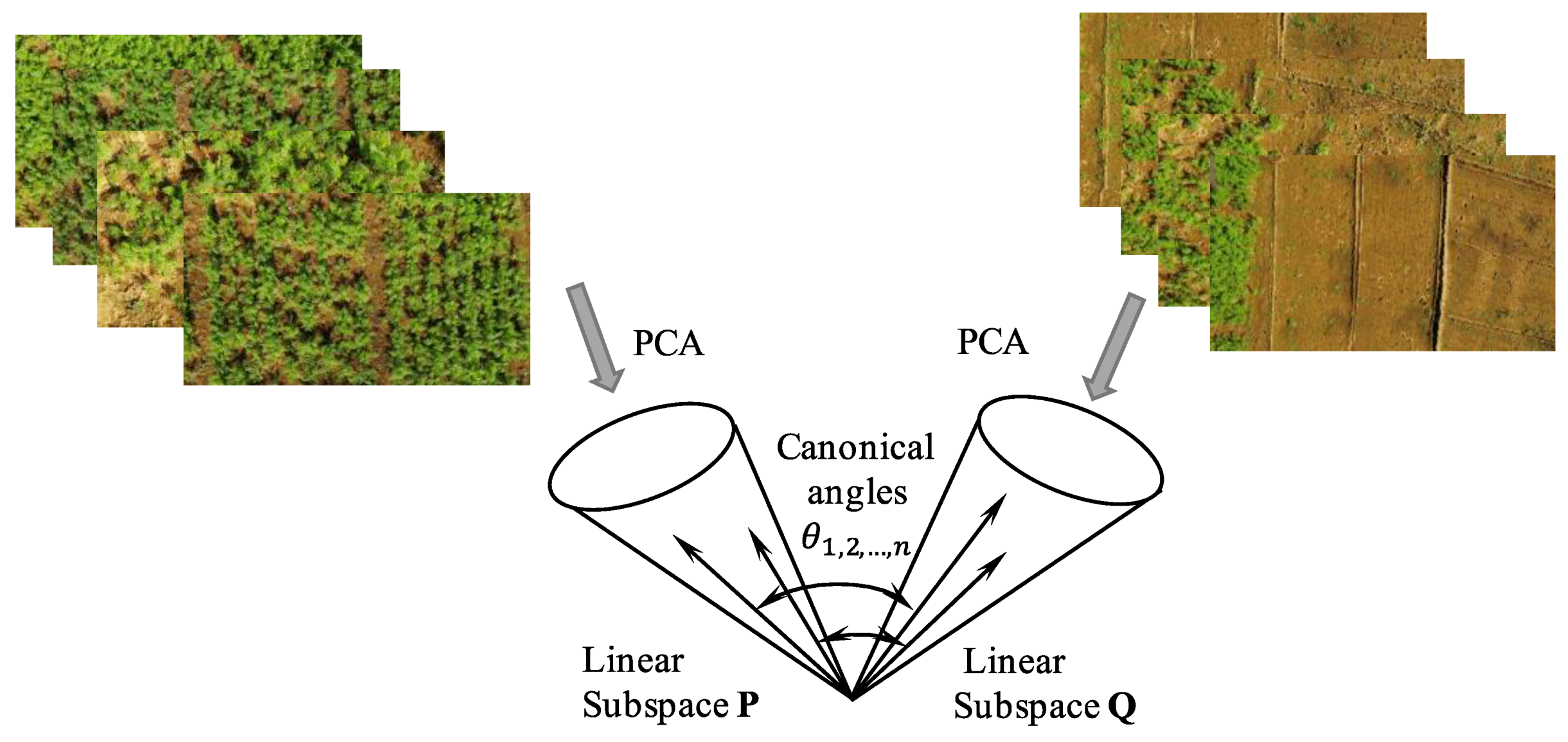 Sensors 19 00313 g002 Sensors 19 00313 g002