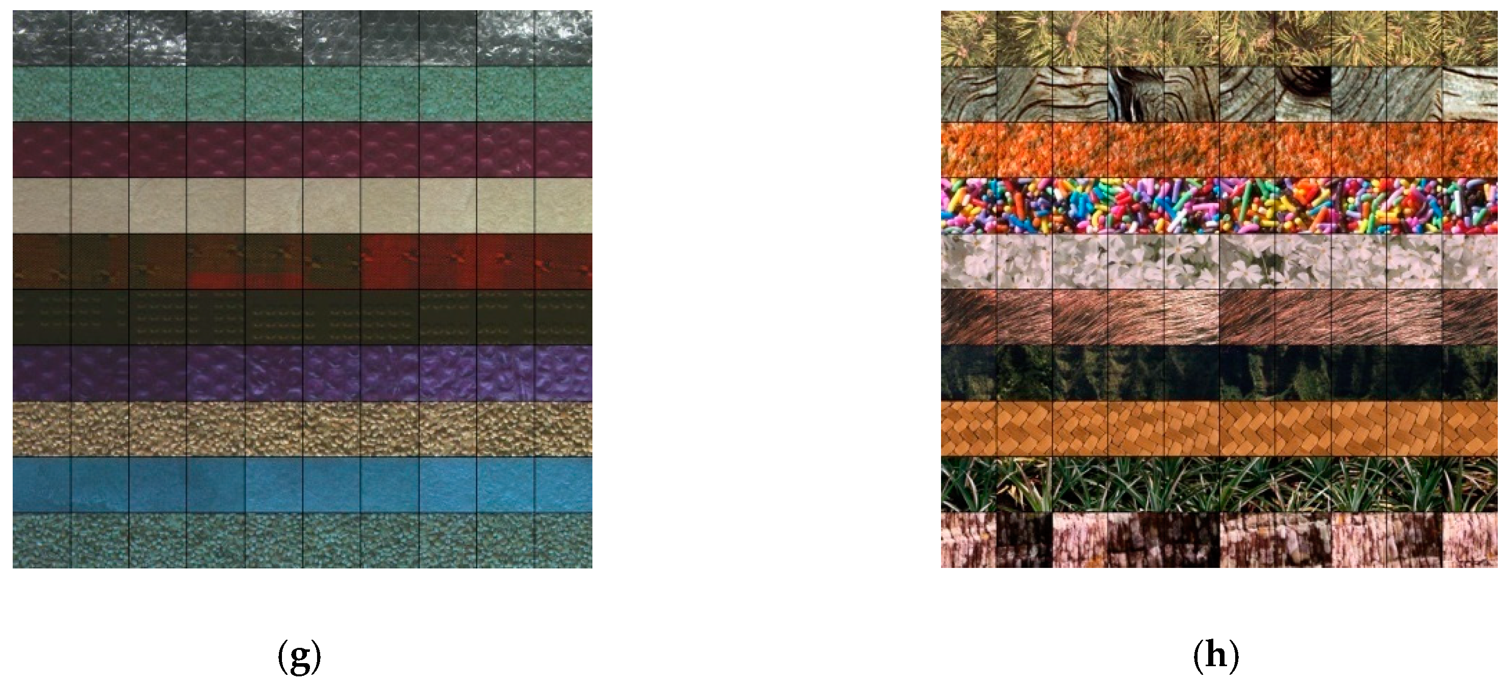 Sensors 19 00315 g006b