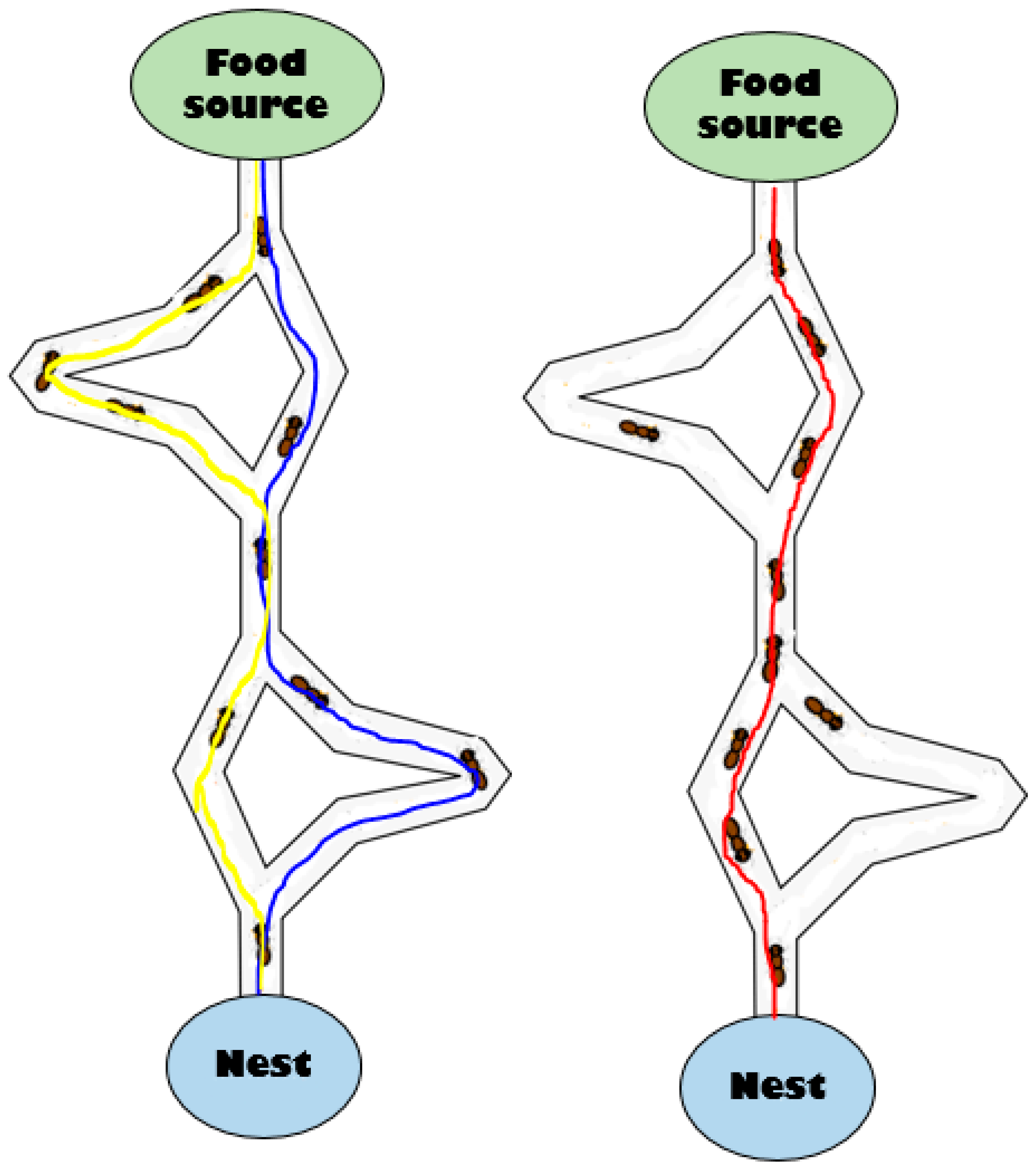 Sensors 19 00322 g006 Sensors 19 00322 g006