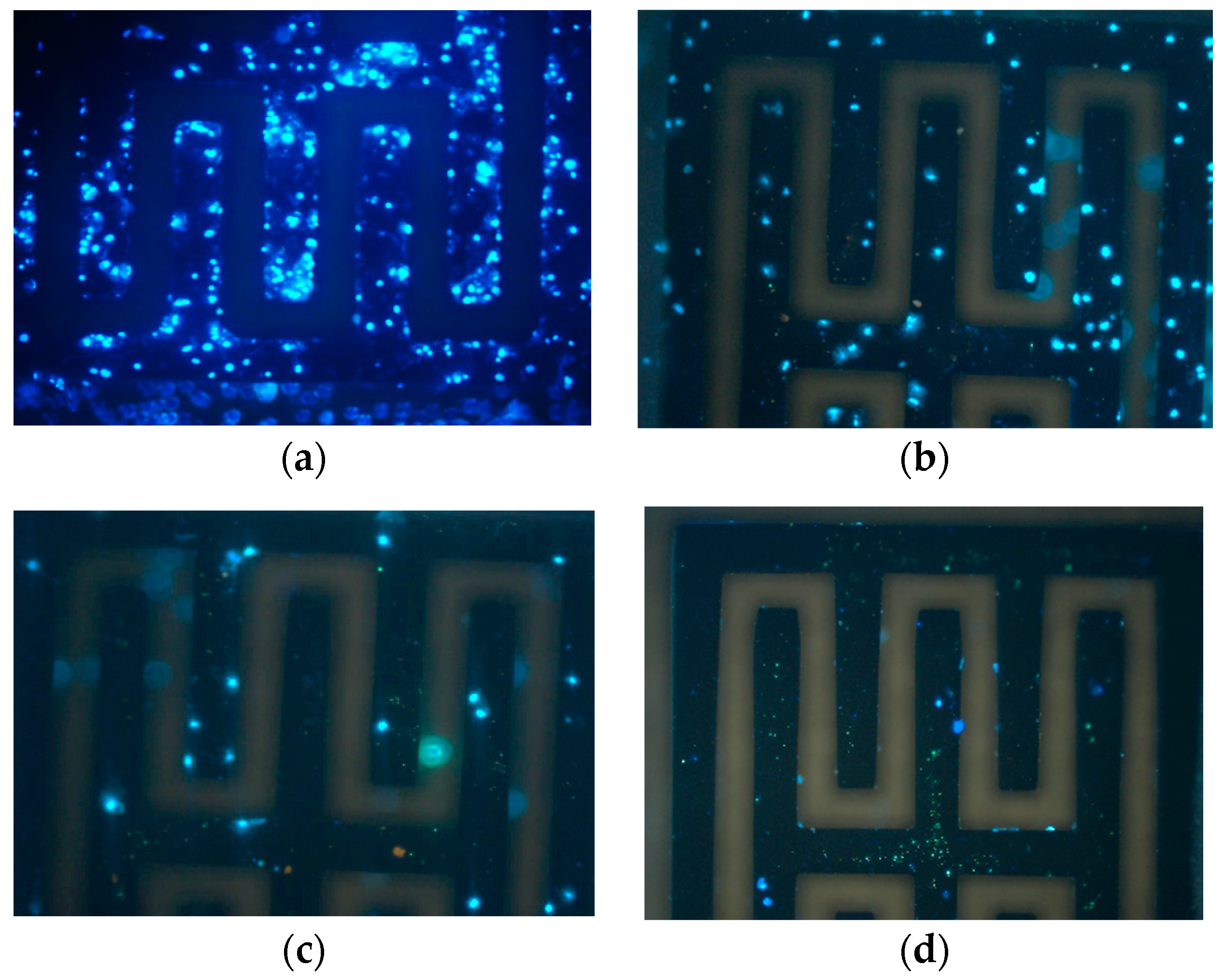 Sensors 19 00325 g010
