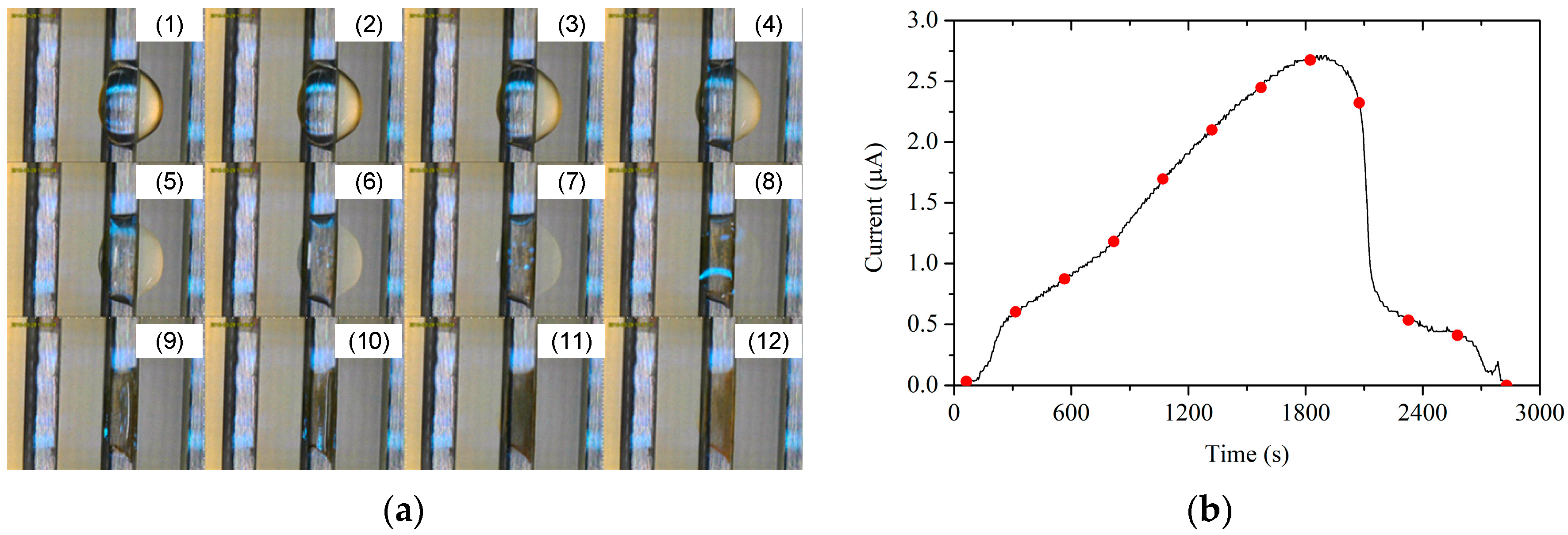Sensors 19 00331 g006