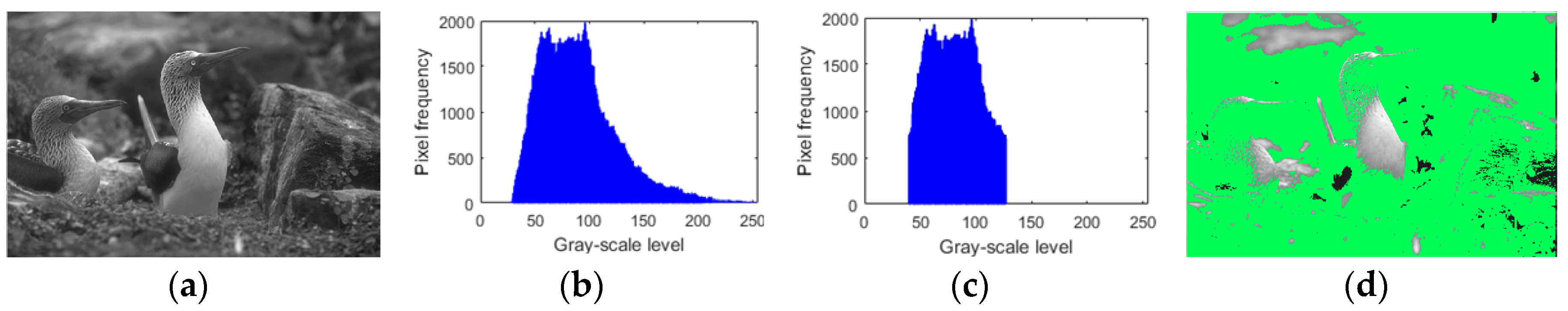 Sensors 19 00339 g004 Sensors 19 00339 g004
