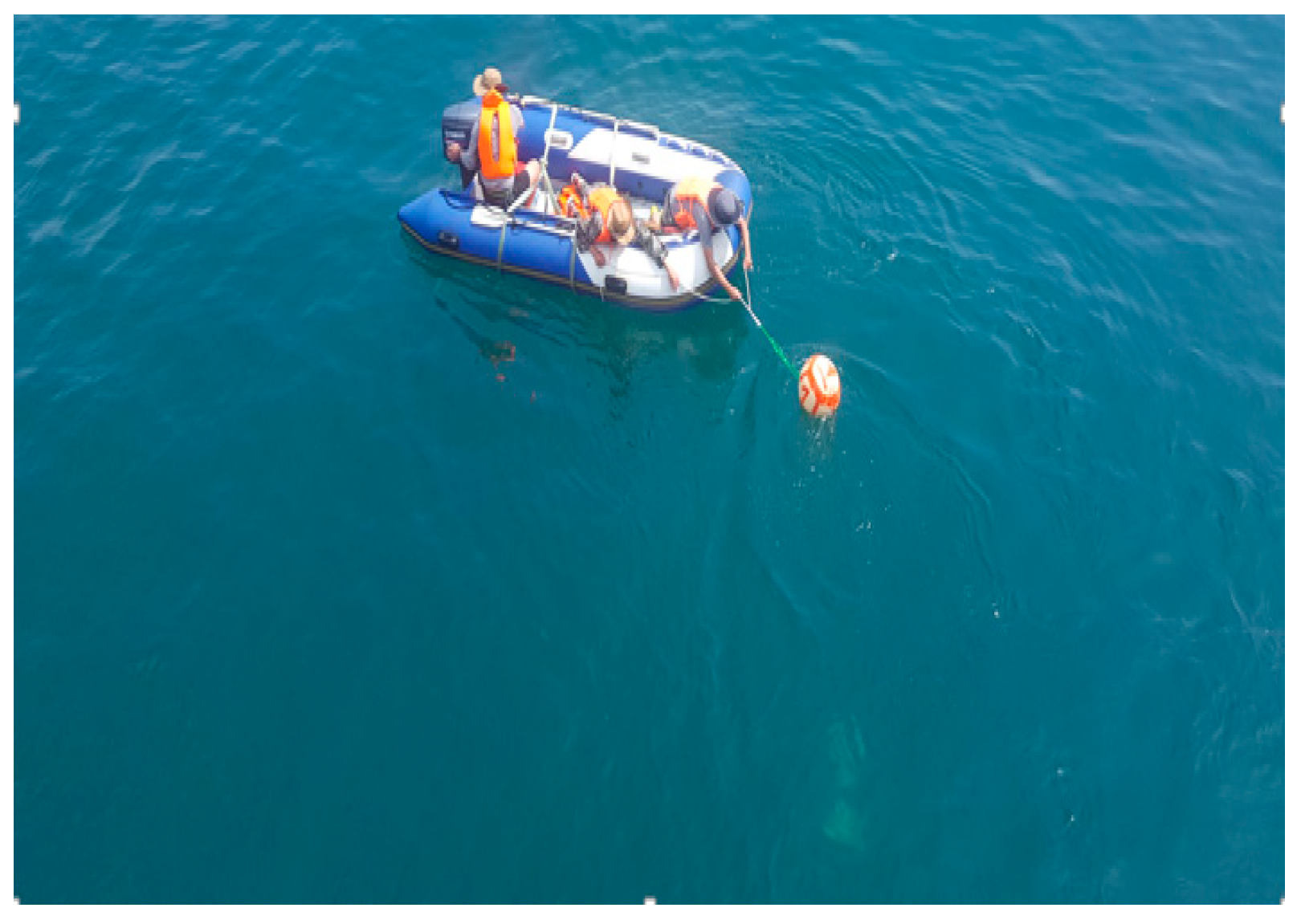 Sensors 19 00370 g006