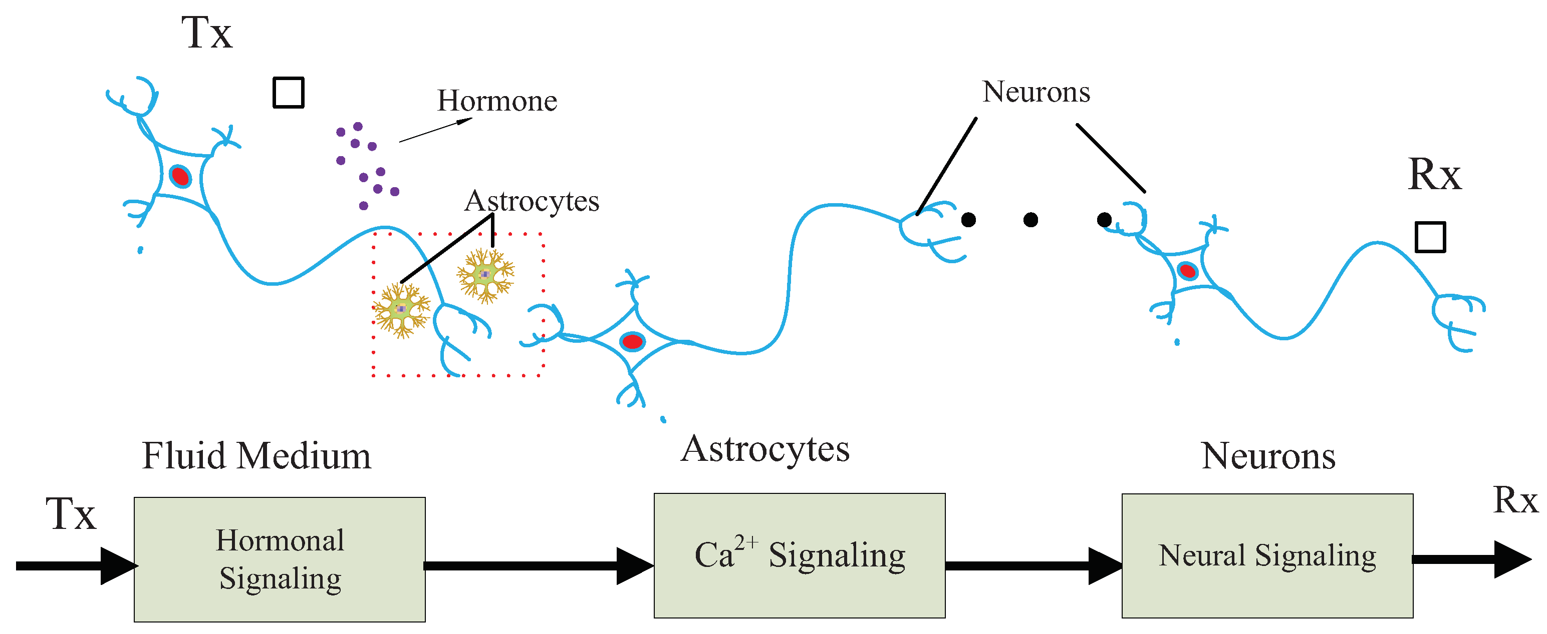 Sensors 19 00395 g001 Sensors 19 00395 g001
