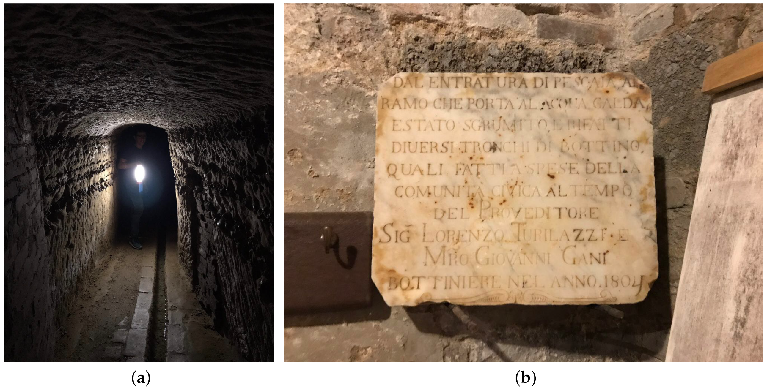 Sensors 19 00402 g001