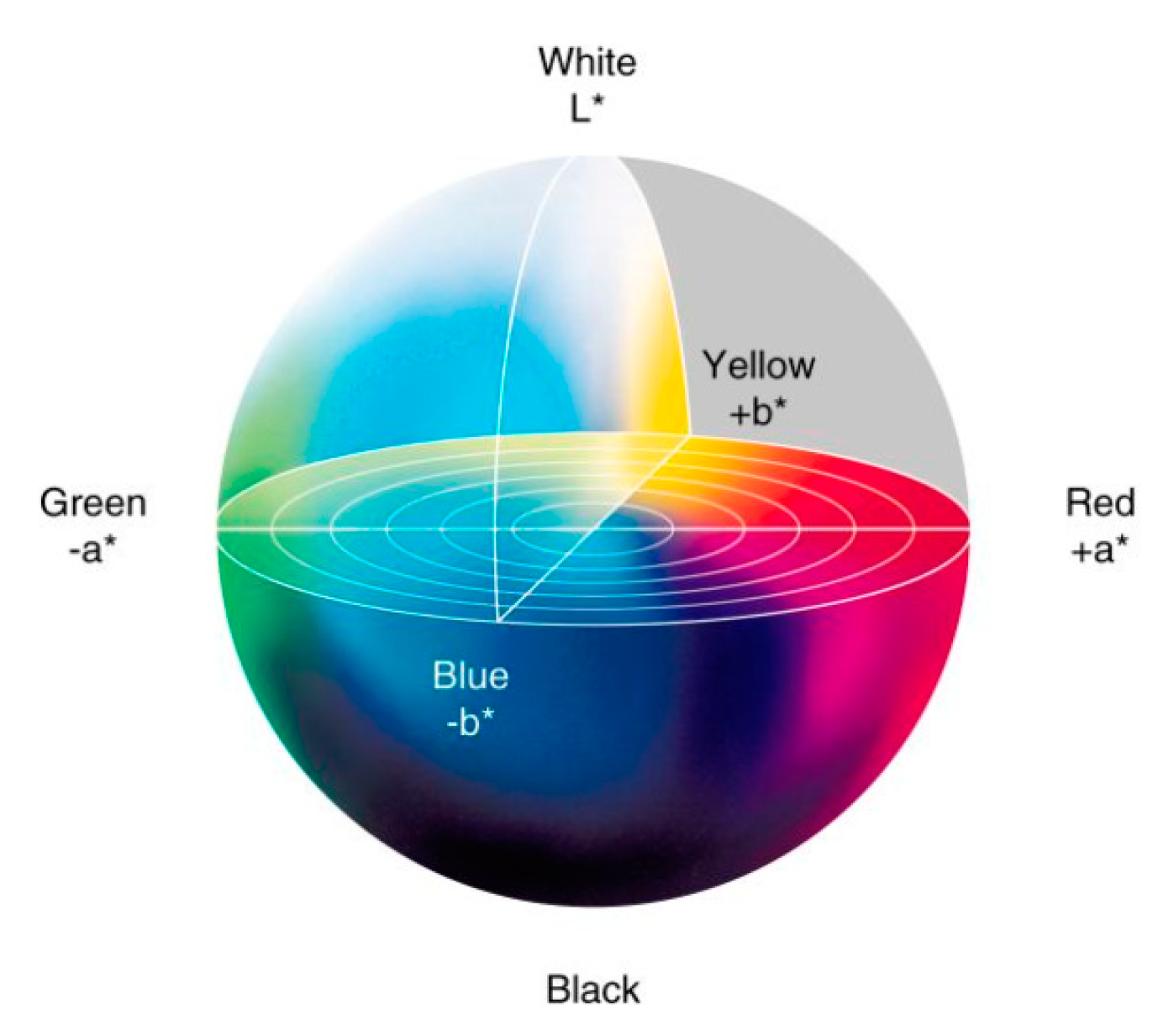 Sensors 19 00416 g005