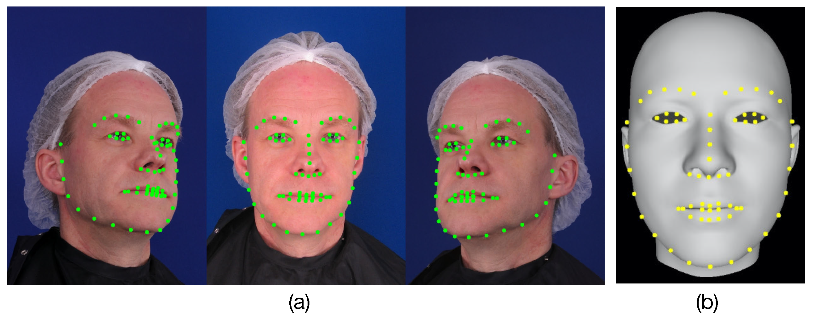 Sensors Free Full Text Three Dimensional Face Reconstruction Using Multi View Based Bilinear Model Html