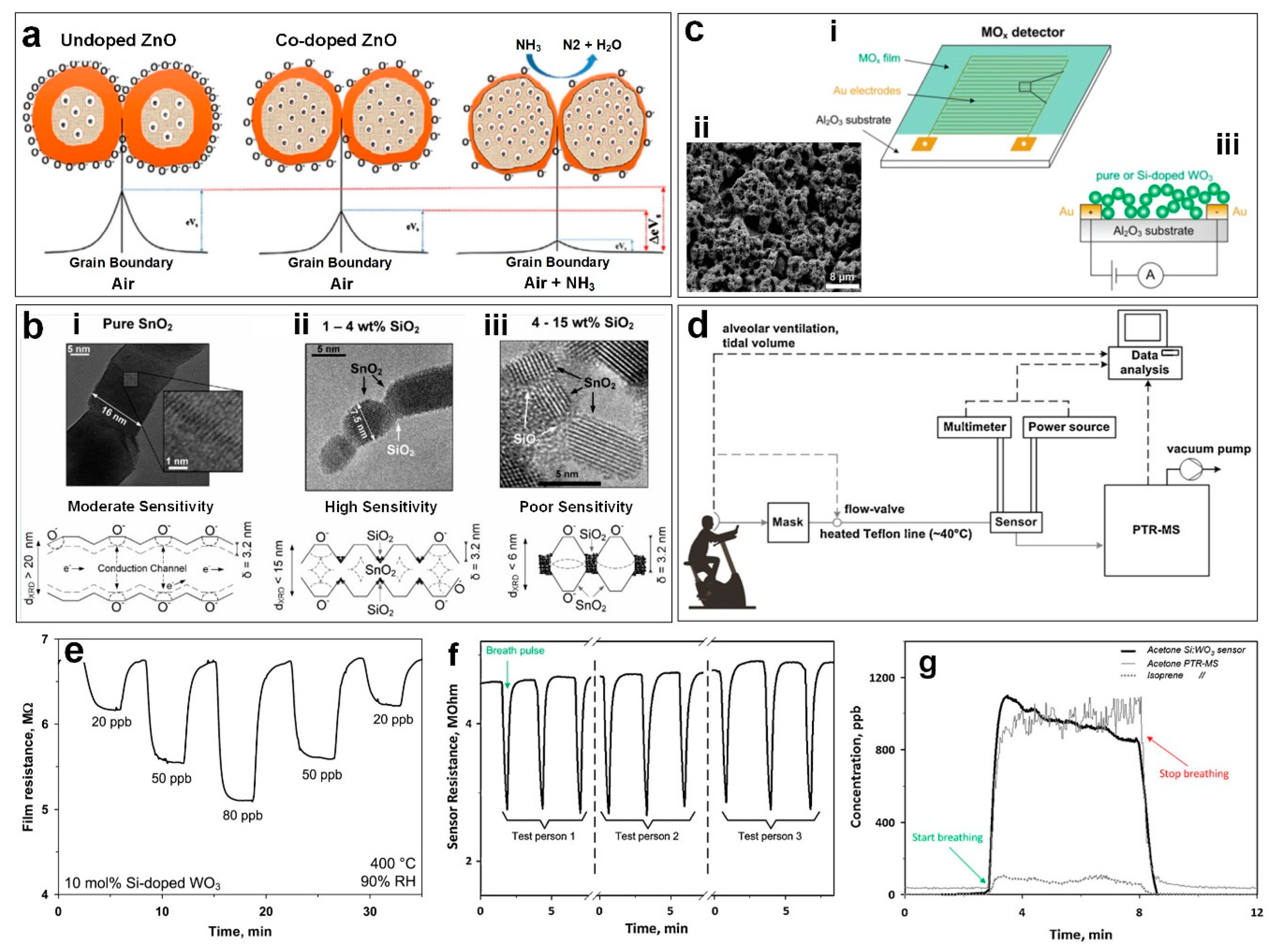 Sensors 19 00462 g003