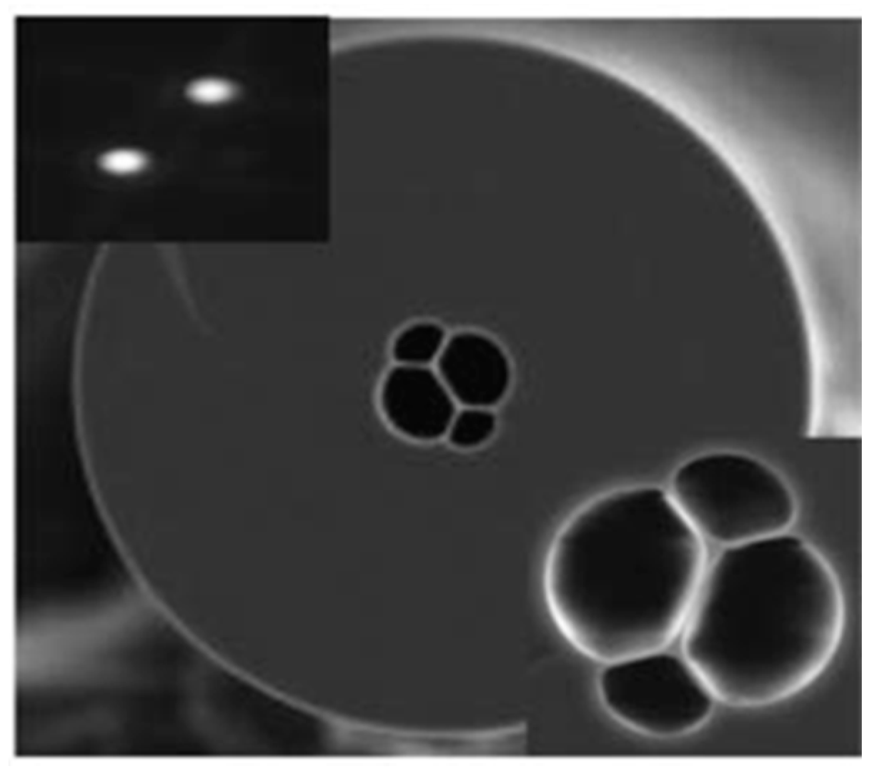 Sensors 19 00464 g019