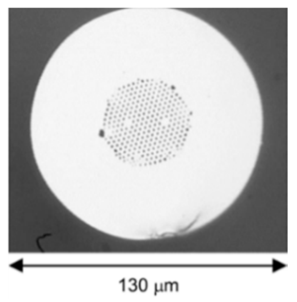 Sensors 19 00464 g021
