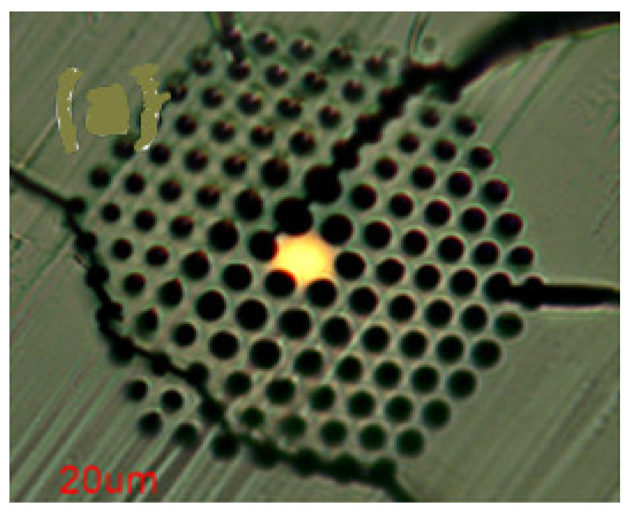 Sensors 19 00464 g033