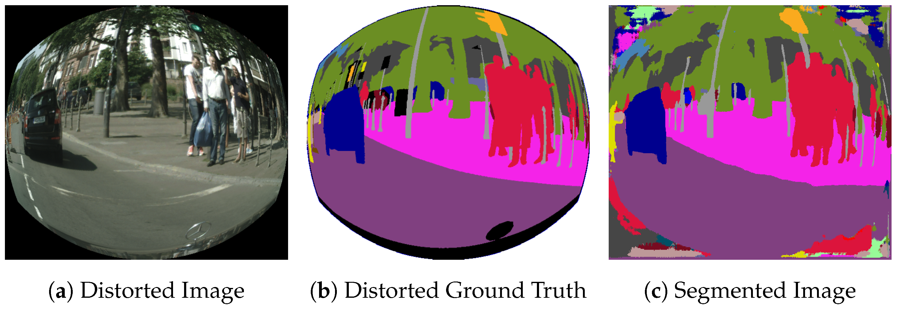 Sensors 19 00503 g006