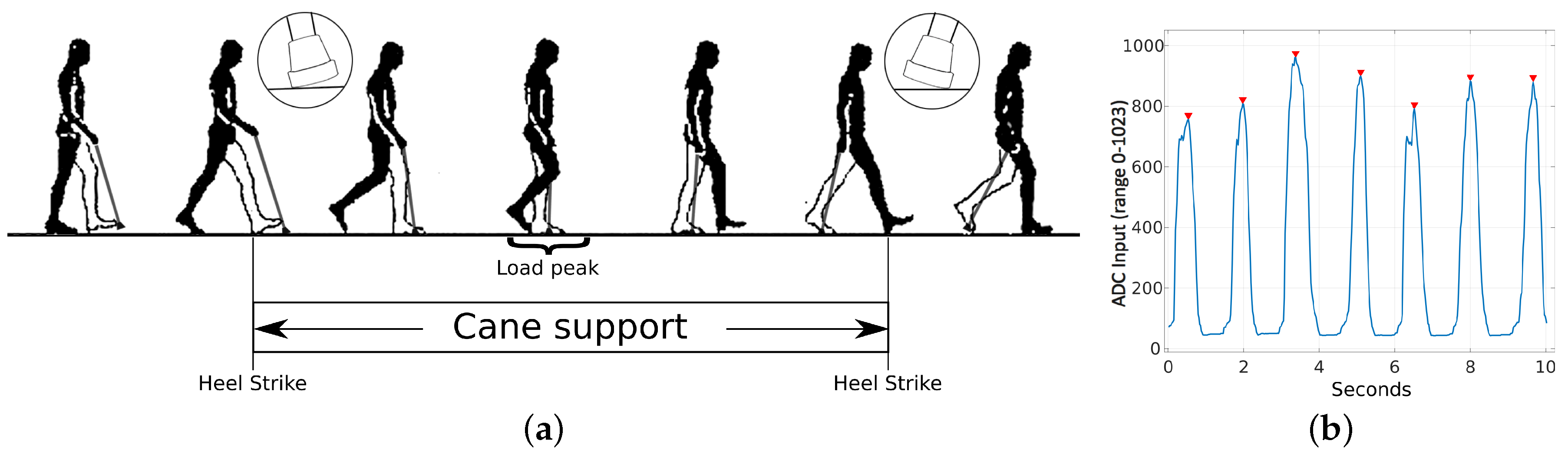 Sensors 19 00509 g006
