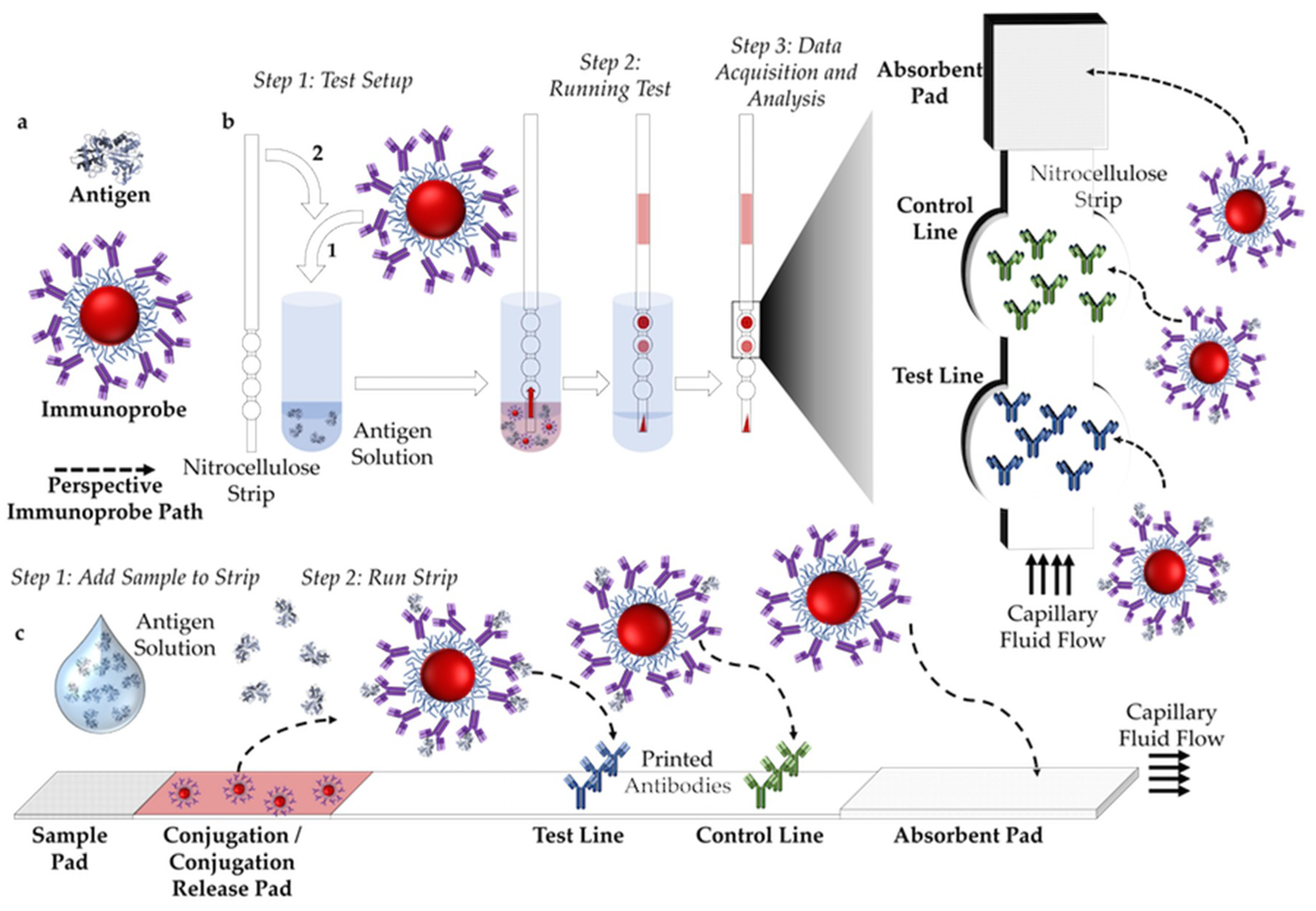 Sensors 19 00554 g002 Sensors 19 00554 g002