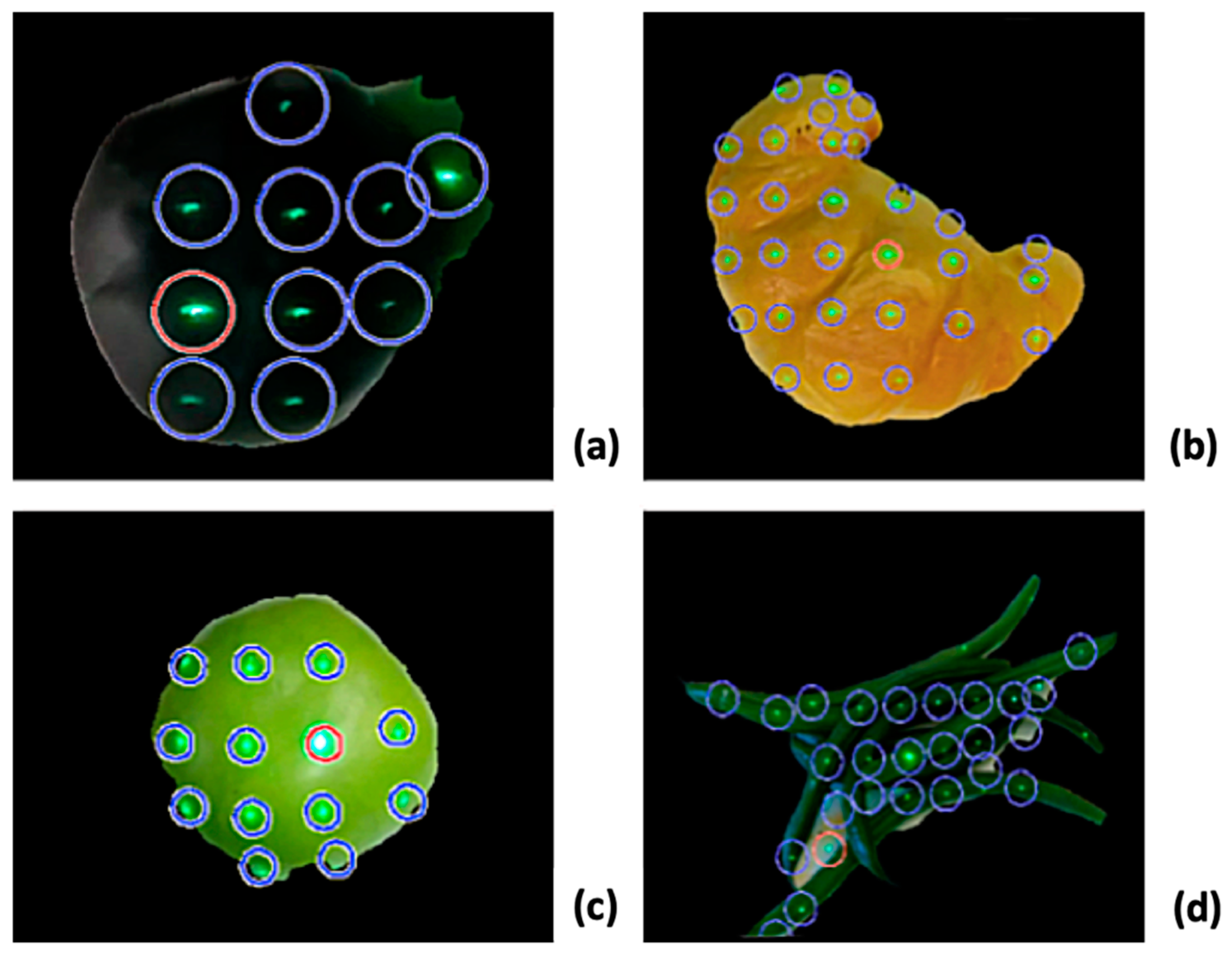Sensors 19 00564 g015