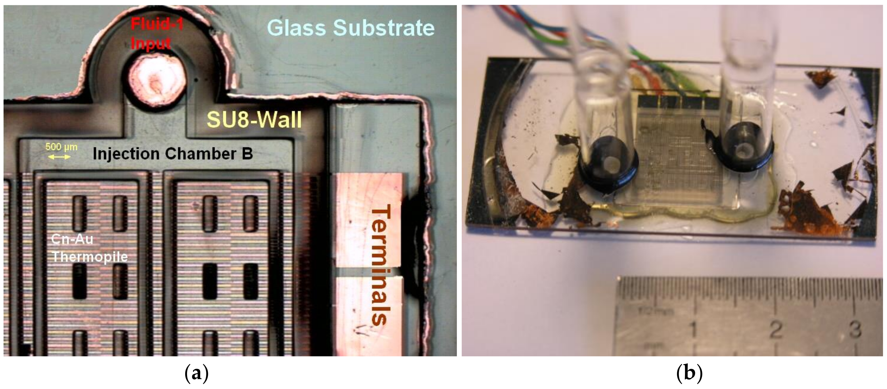 Sensors 19 00566 g005