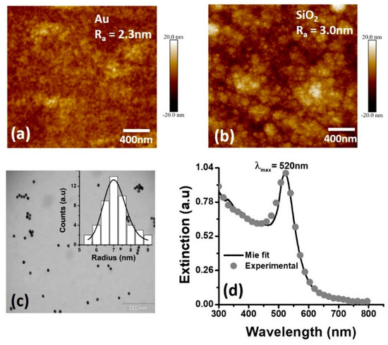 3ーDイラストレーション Limits of the Effective Medium Theory in Particle Amplified