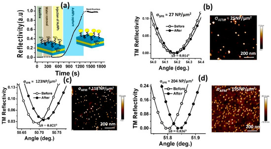 3ーDイラストレーション Unraveling nanosprings: morphology control and mechanical