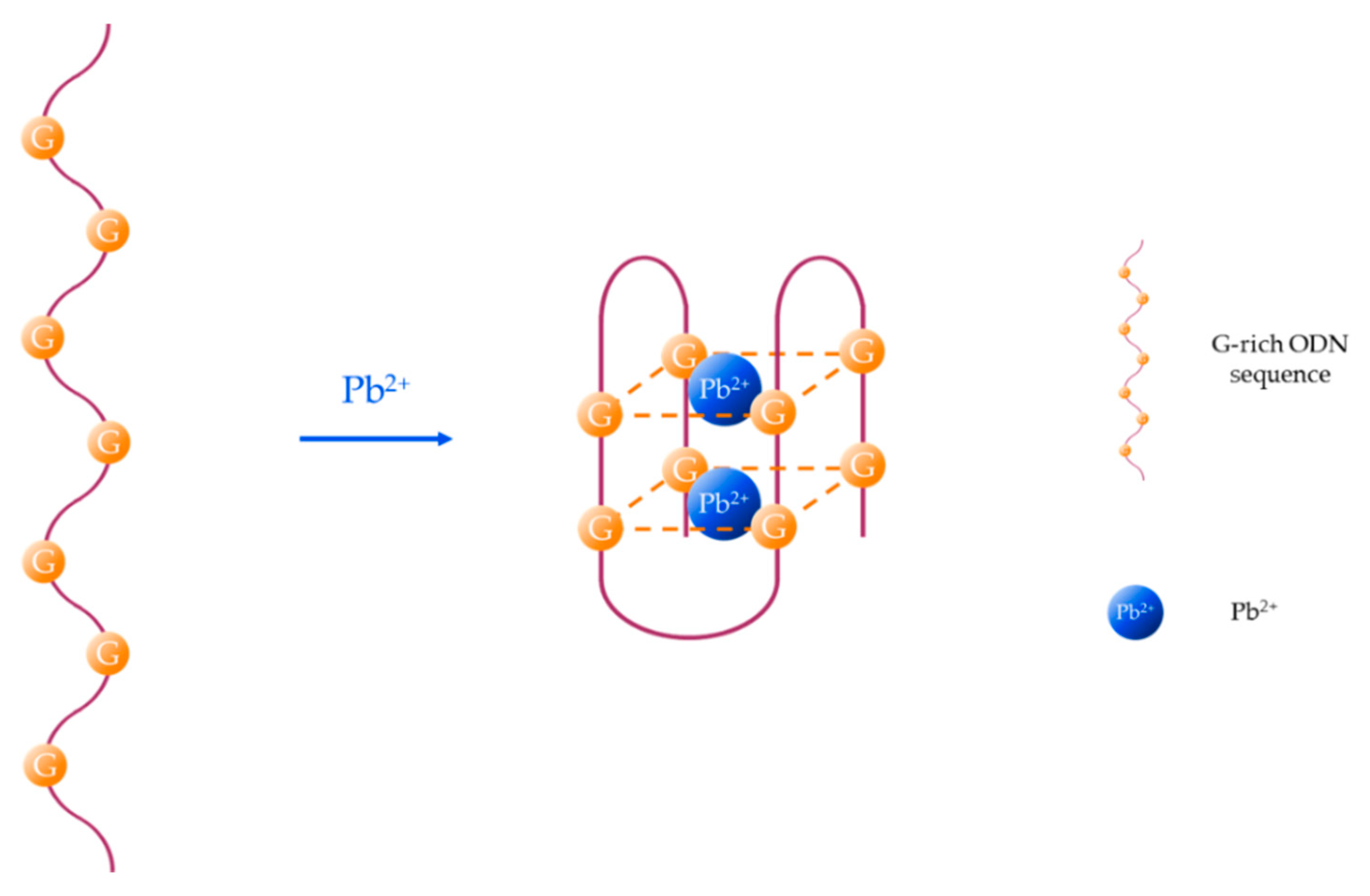 Sensors 19 00599 g002 Sensors 19 00599 g002